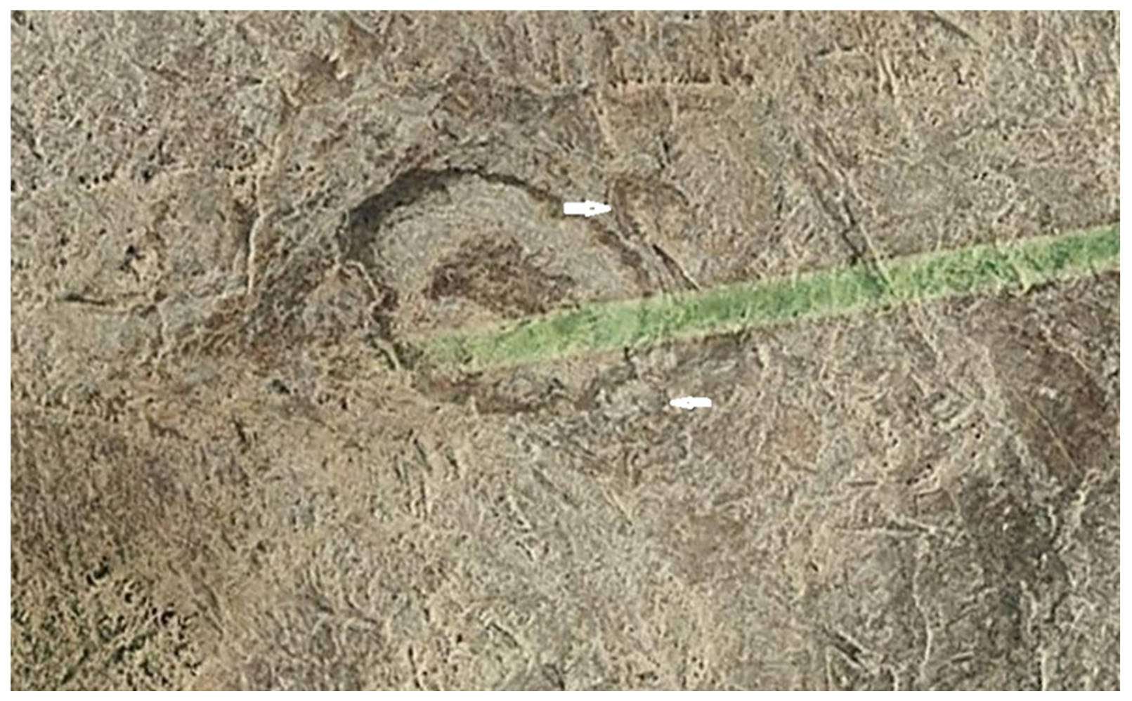 Preprints 117092 g026