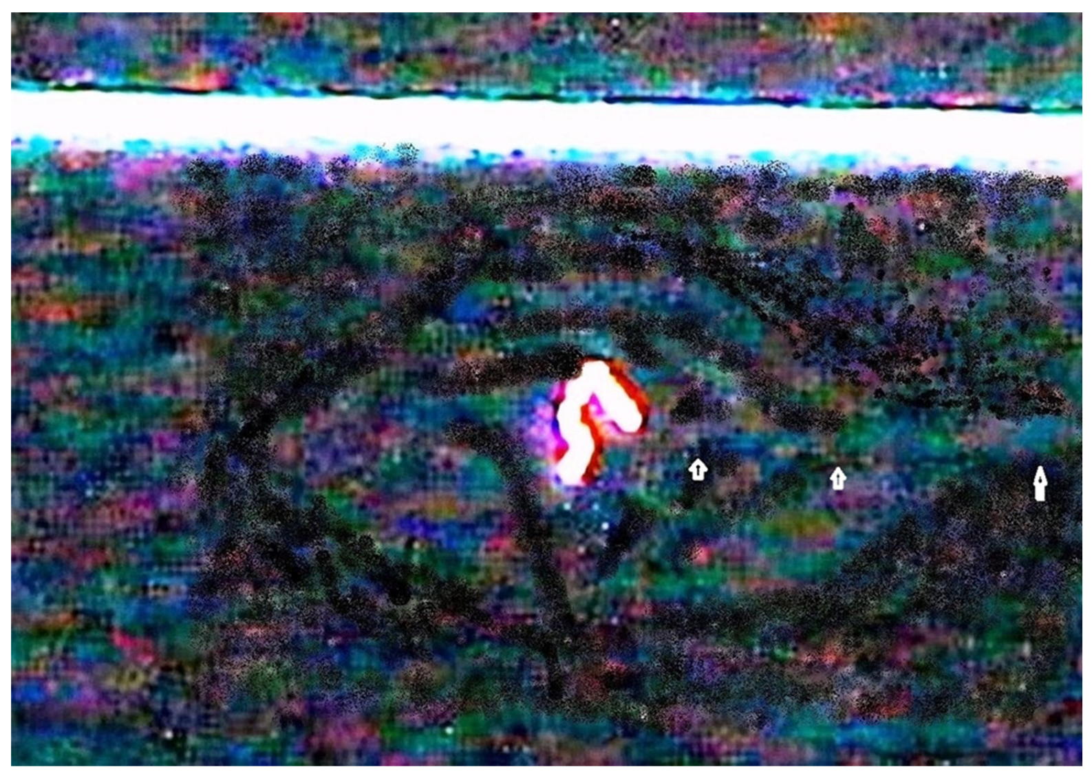 Preprints 117092 g029