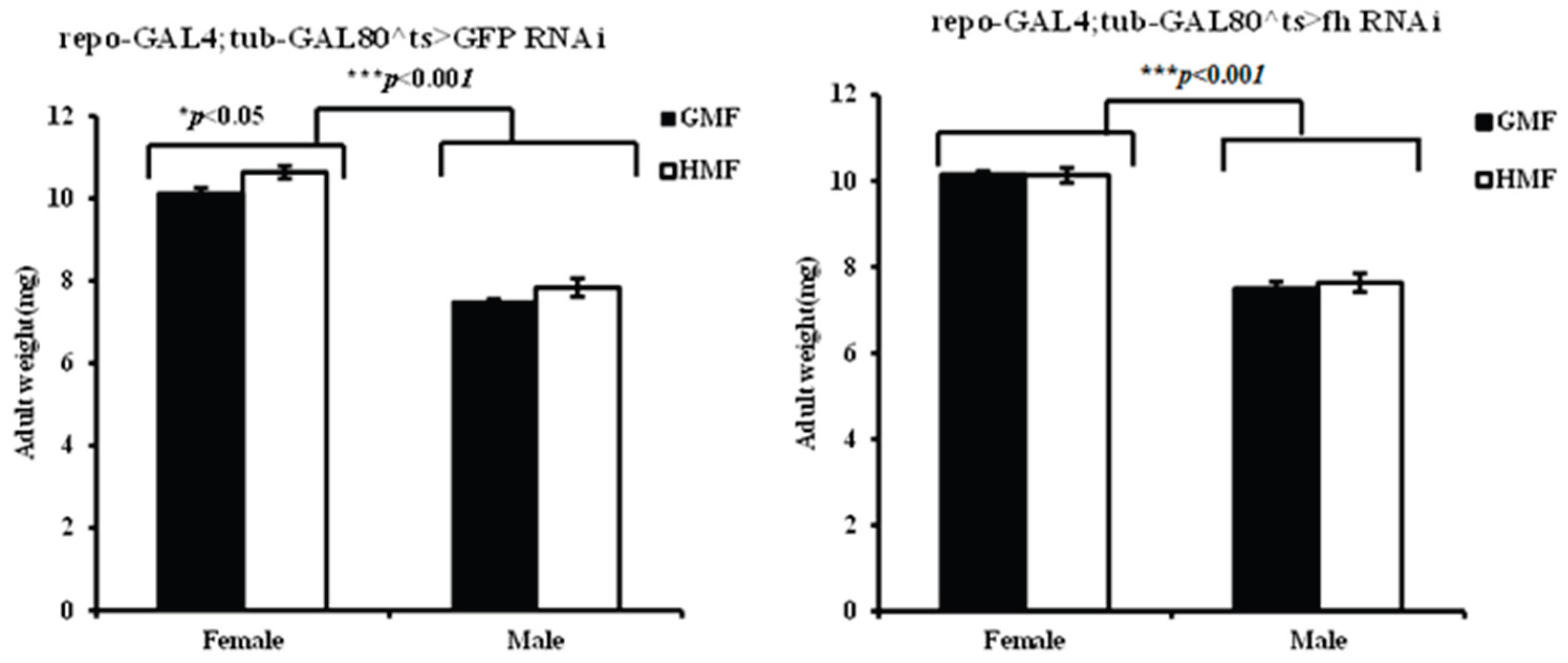 Preprints 185777 g006