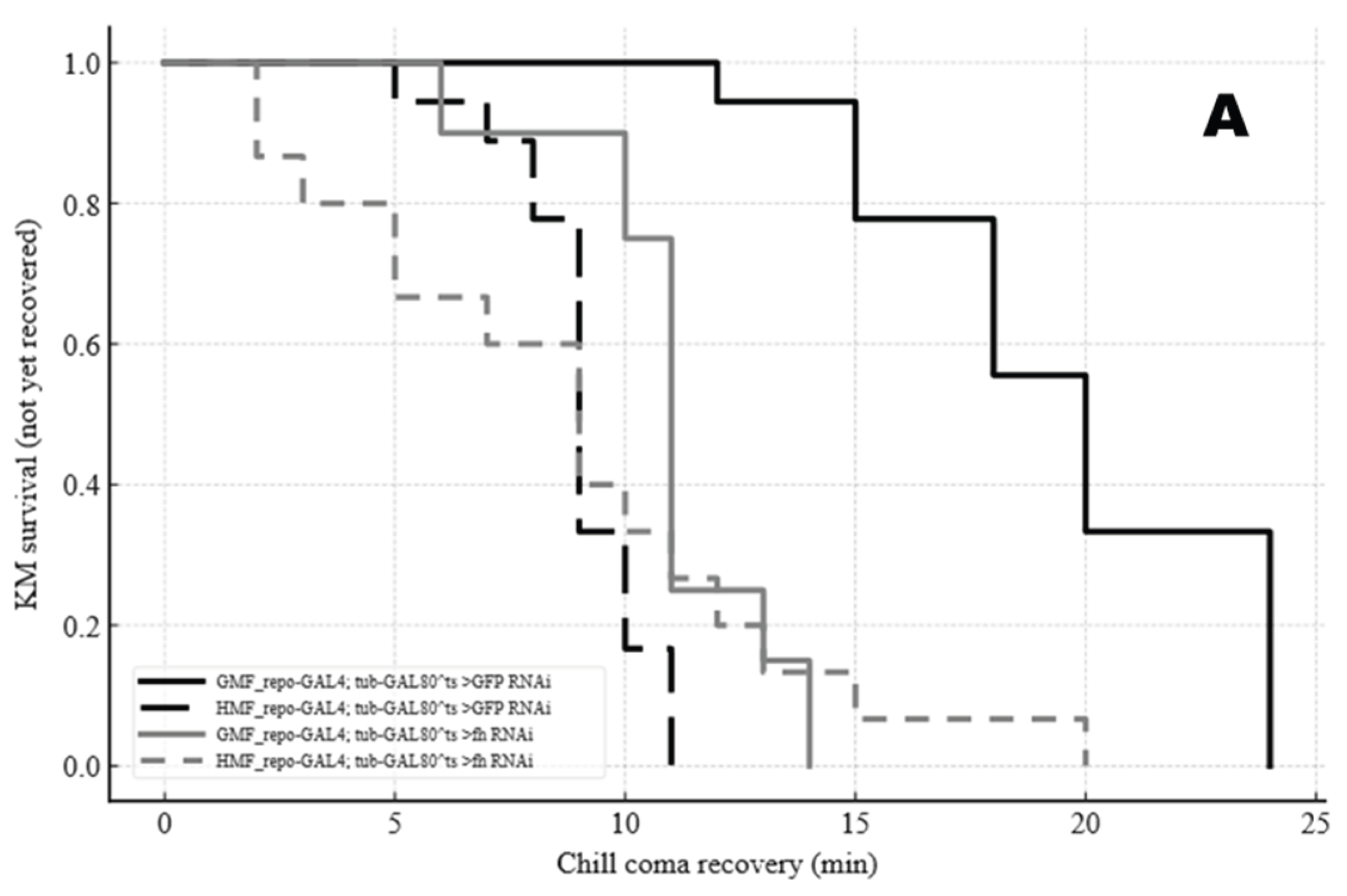 Preprints 185777 g008a