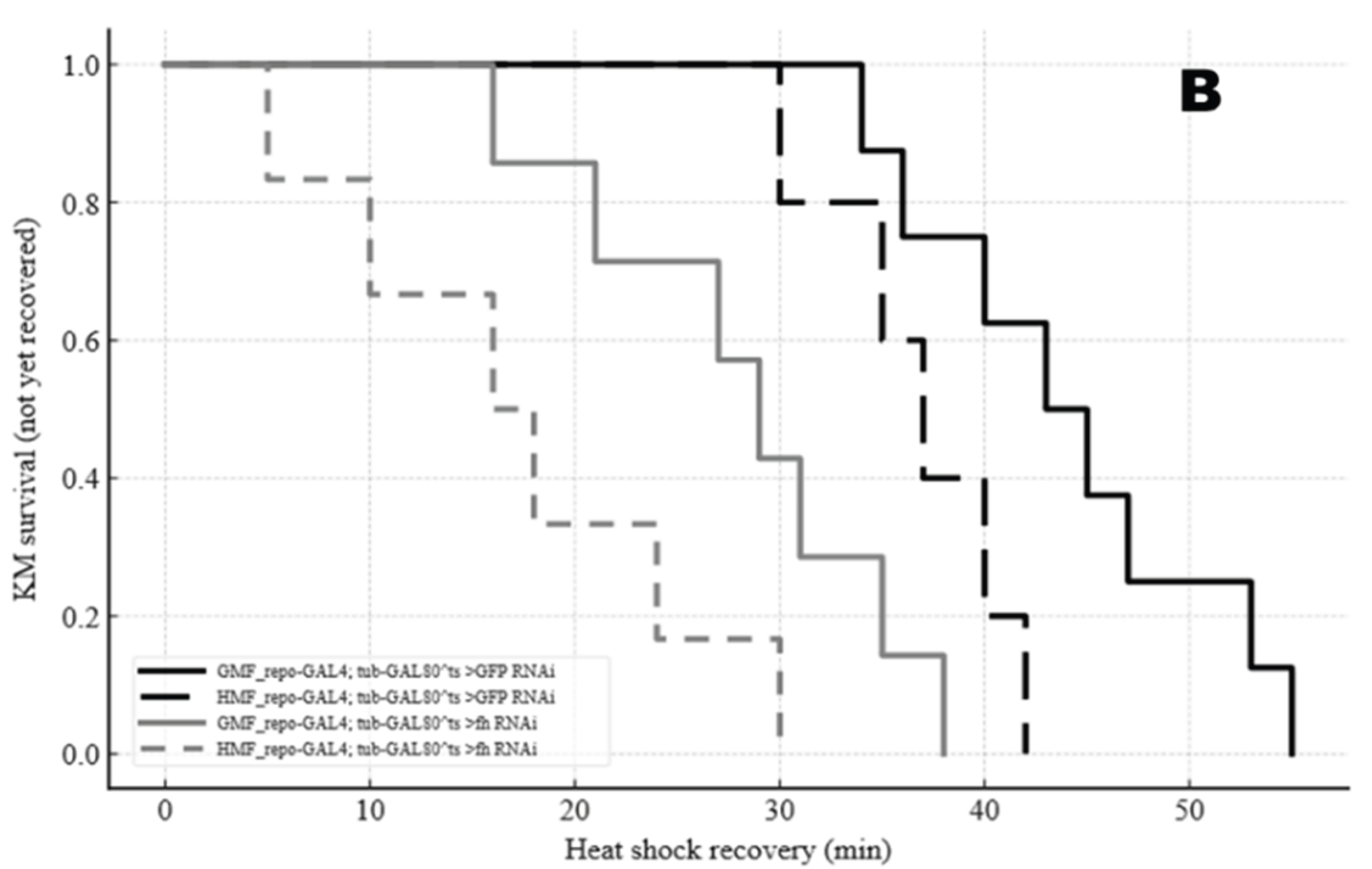 Preprints 185777 g008b