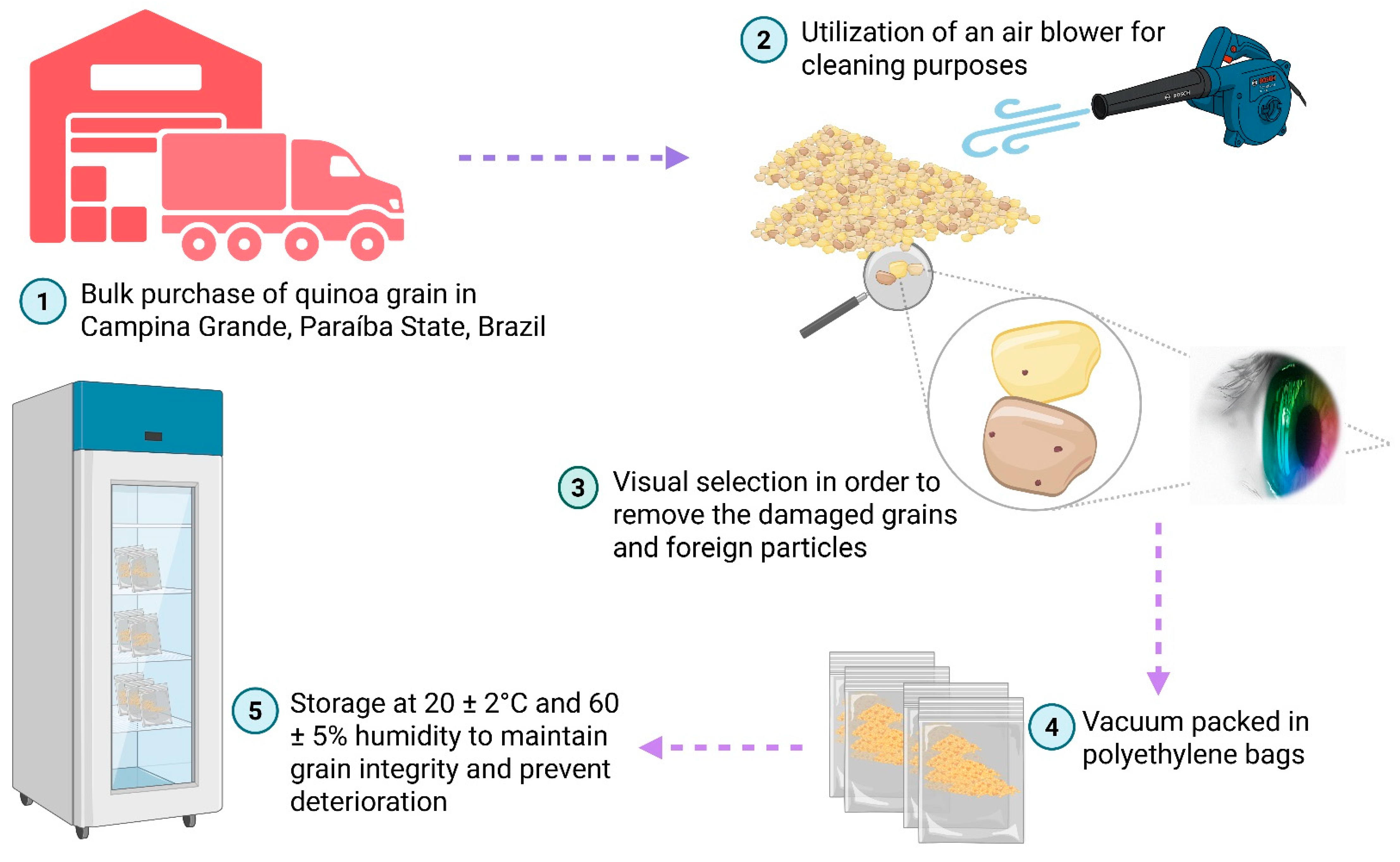 Preprints 175182 g001