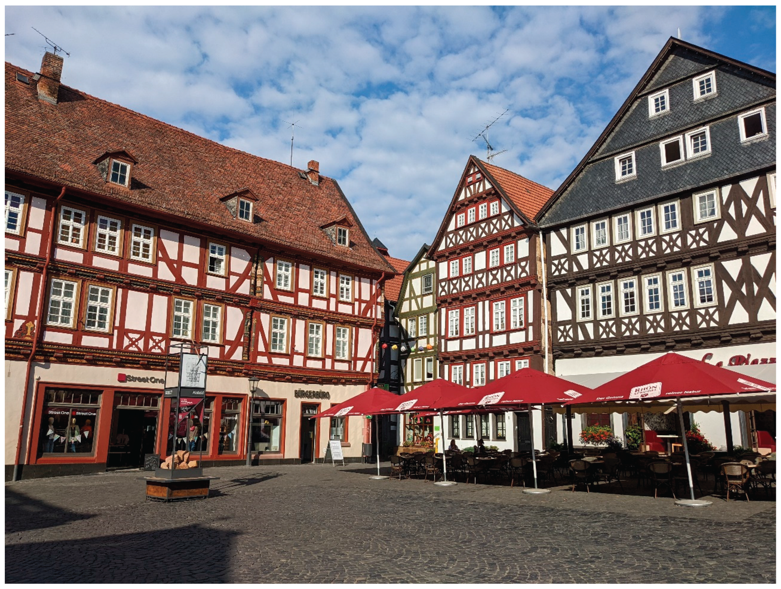 Preprints 162369 g001