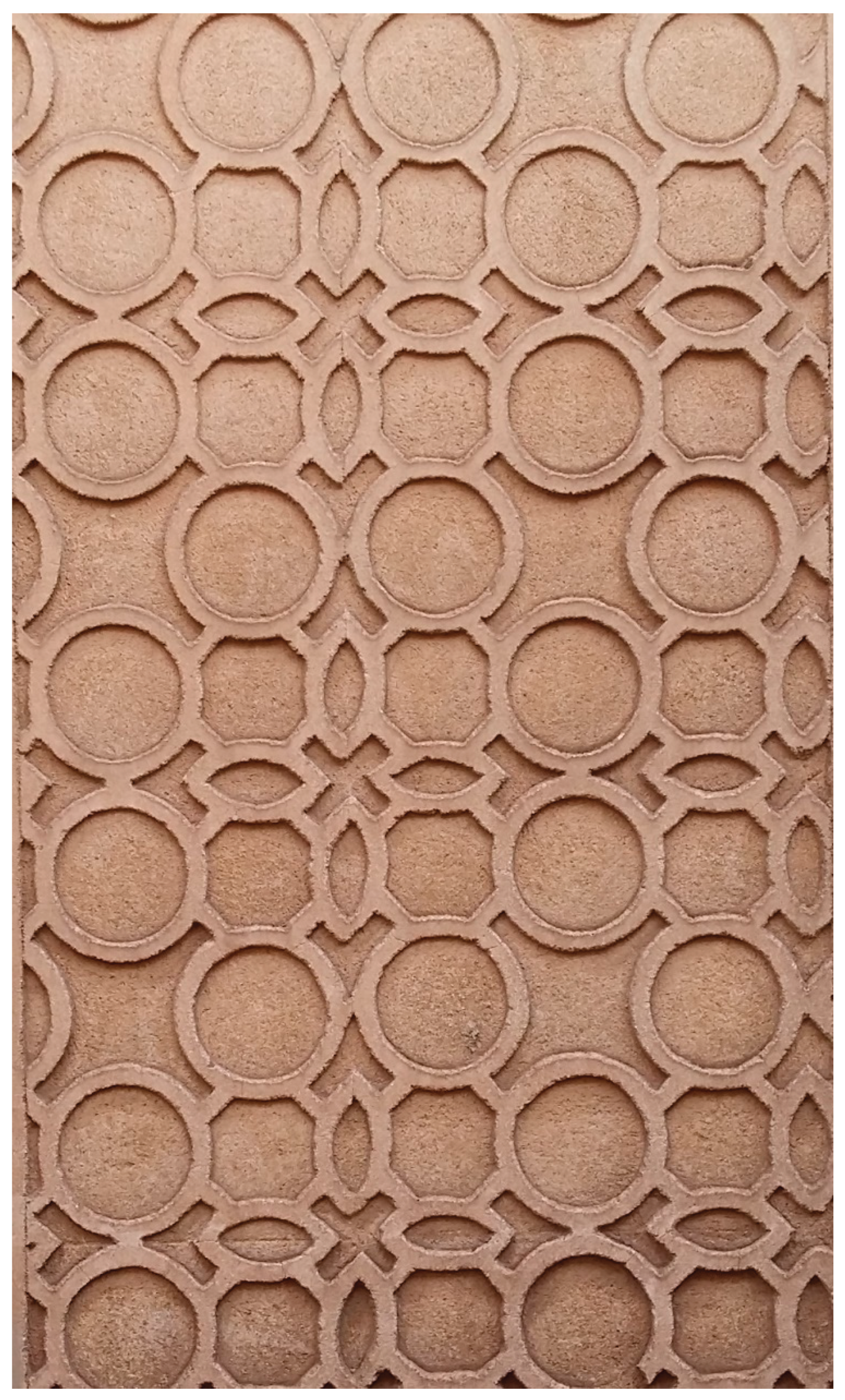 Preprints 162369 g010