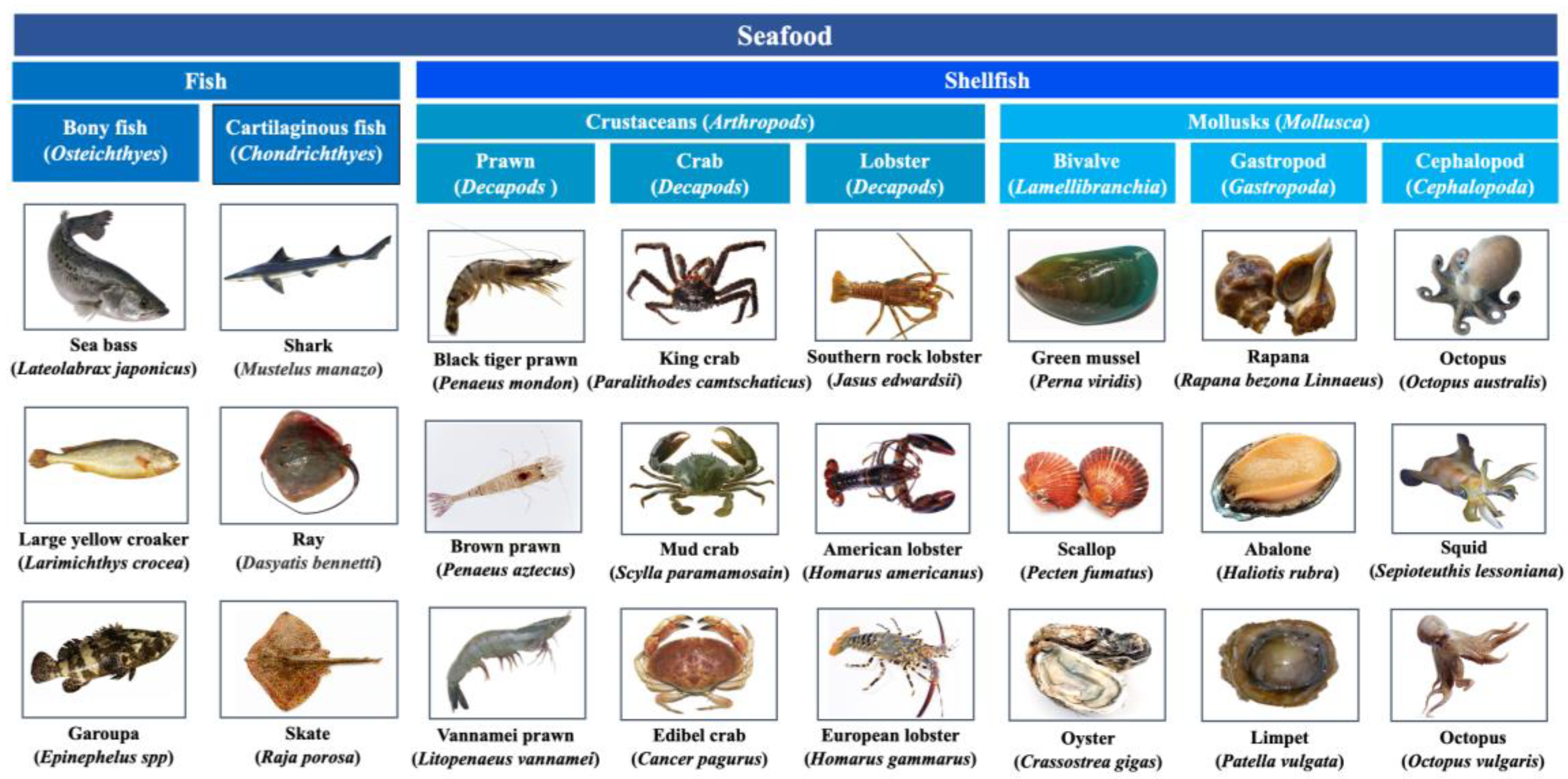 Preprints 161525 g001