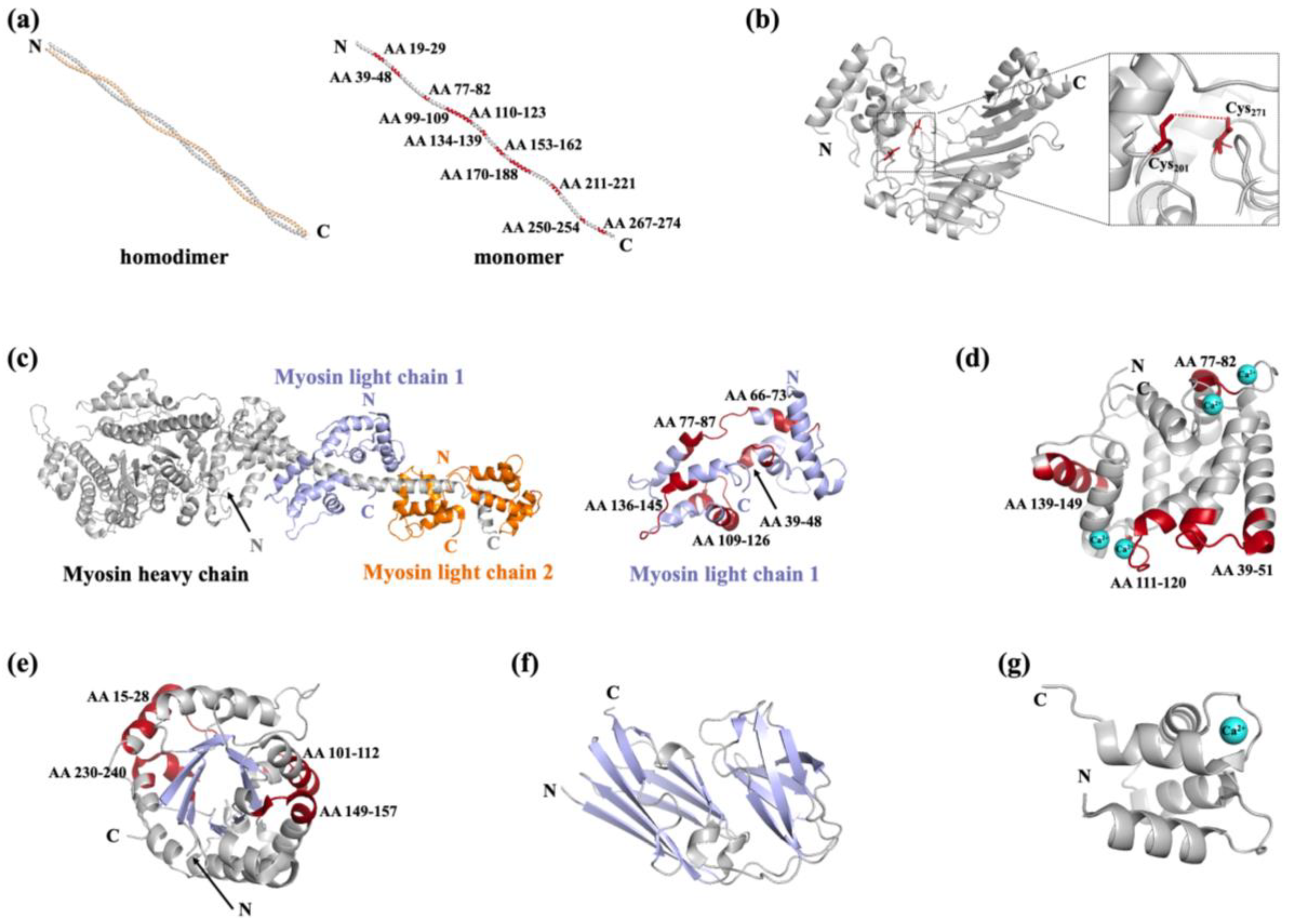 Preprints 161525 g003