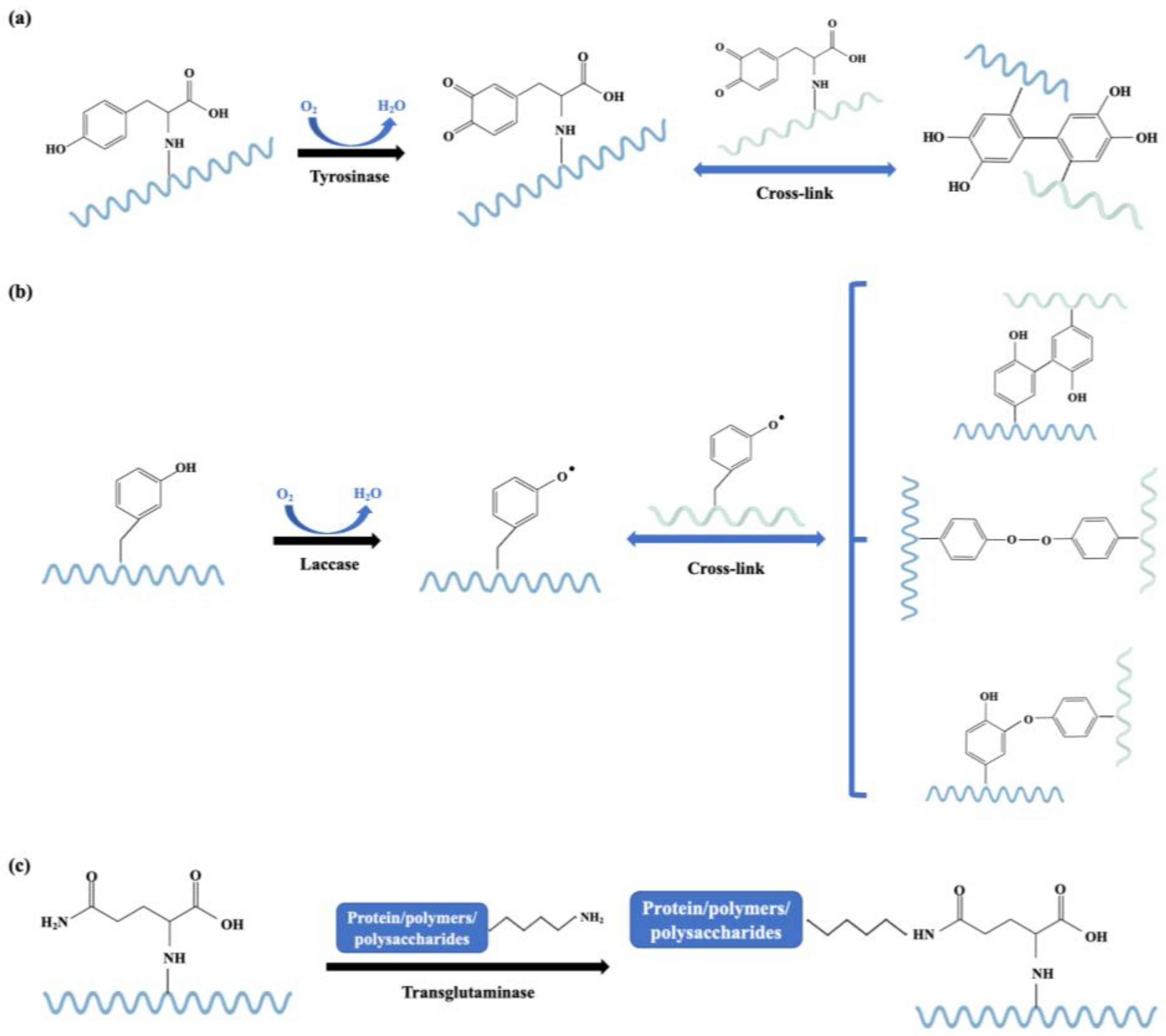 Preprints 161525 g006