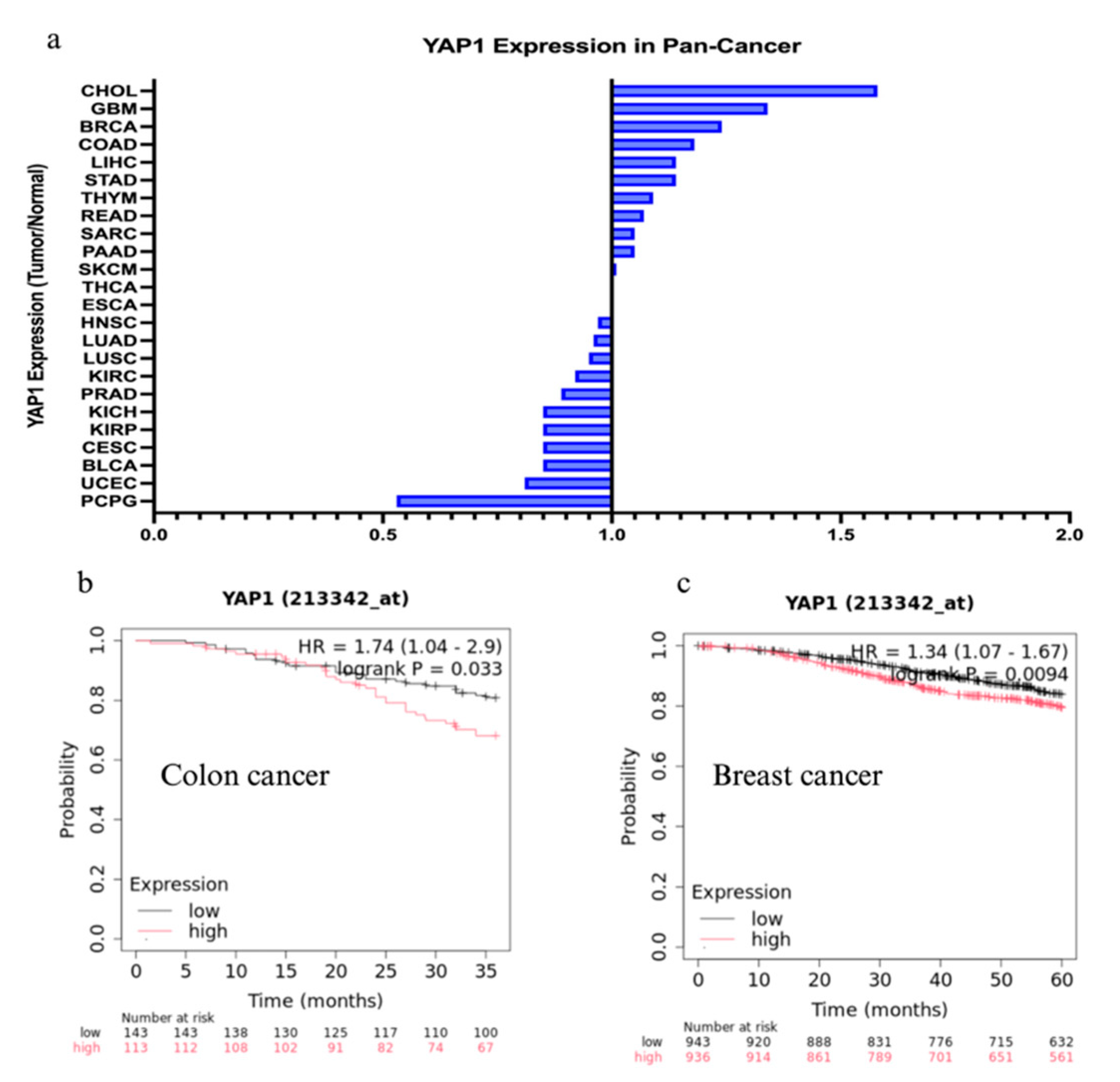 Preprints 188953 g001