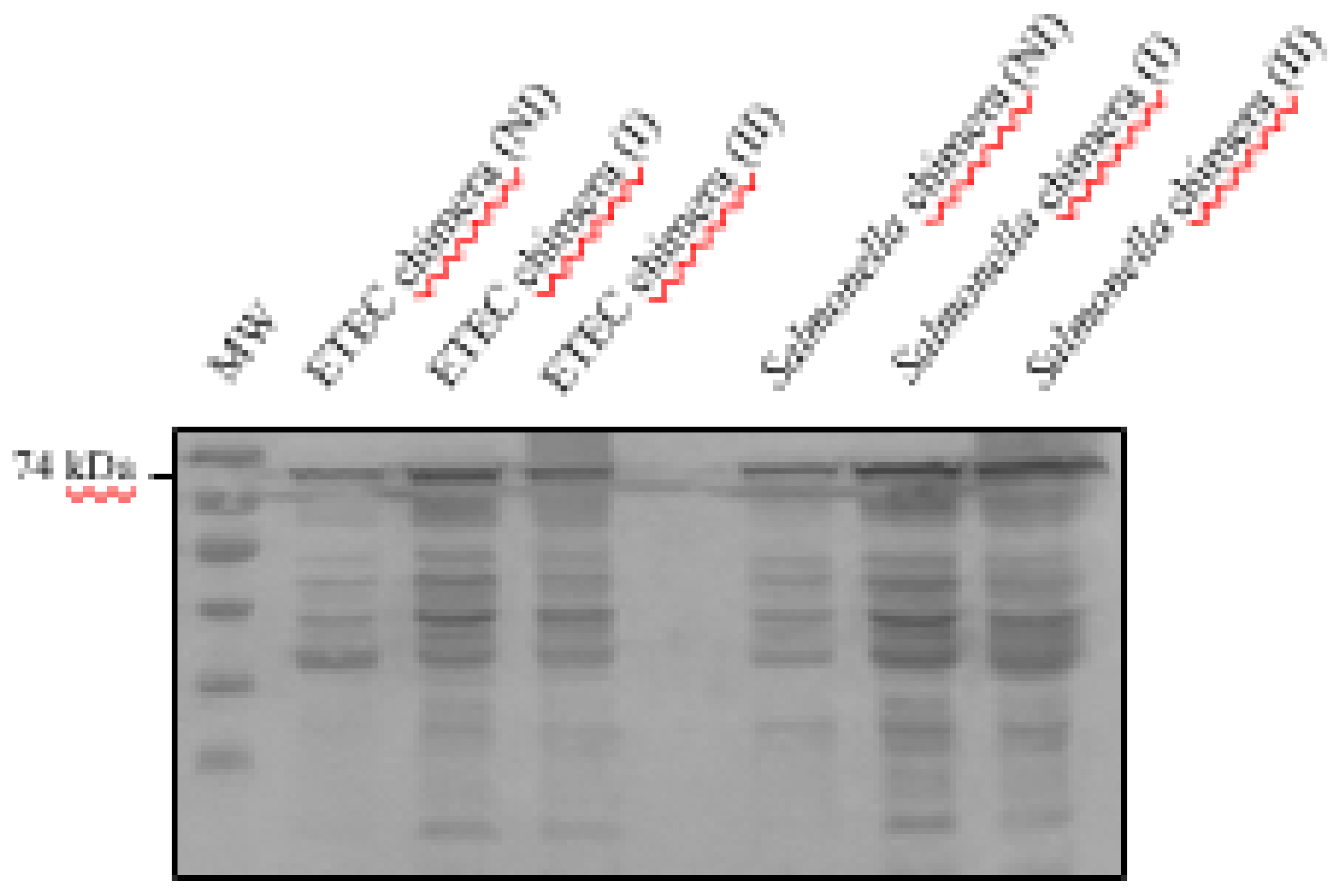 Preprints 141108 g002