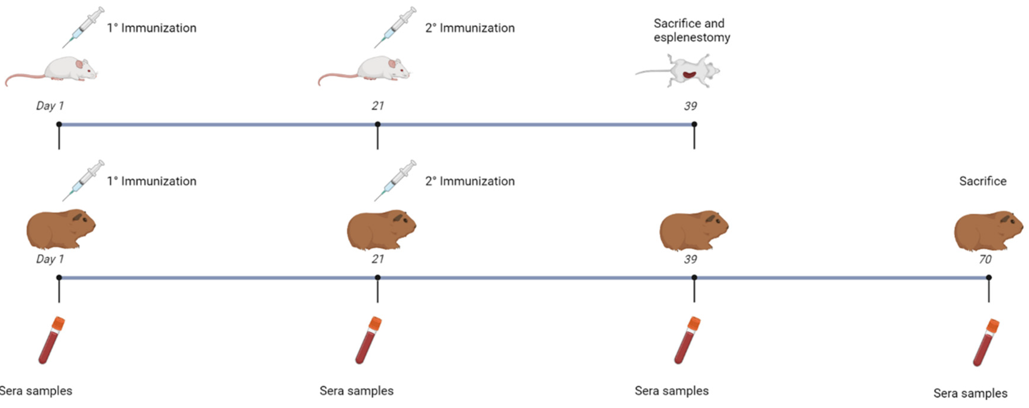 Preprints 141108 g003