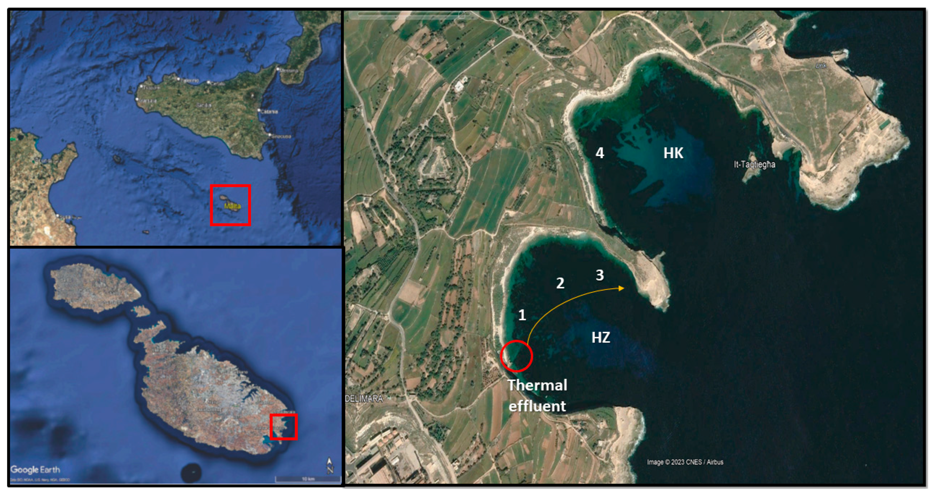 Preprints 148152 g001