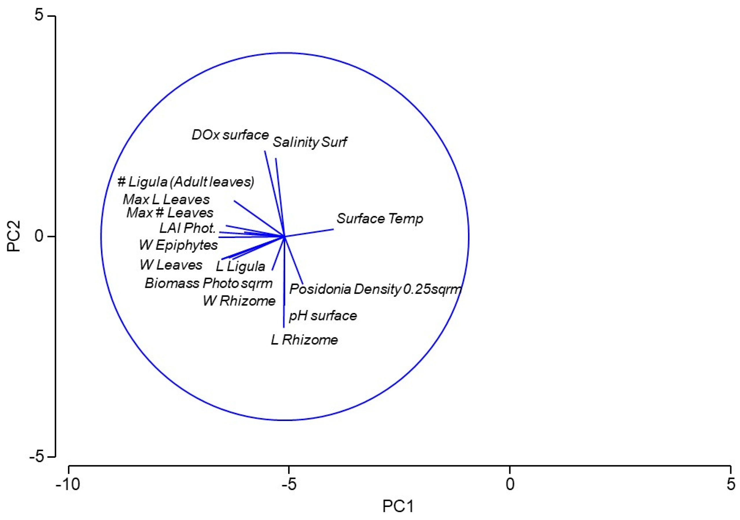 Preprints 148152 g002