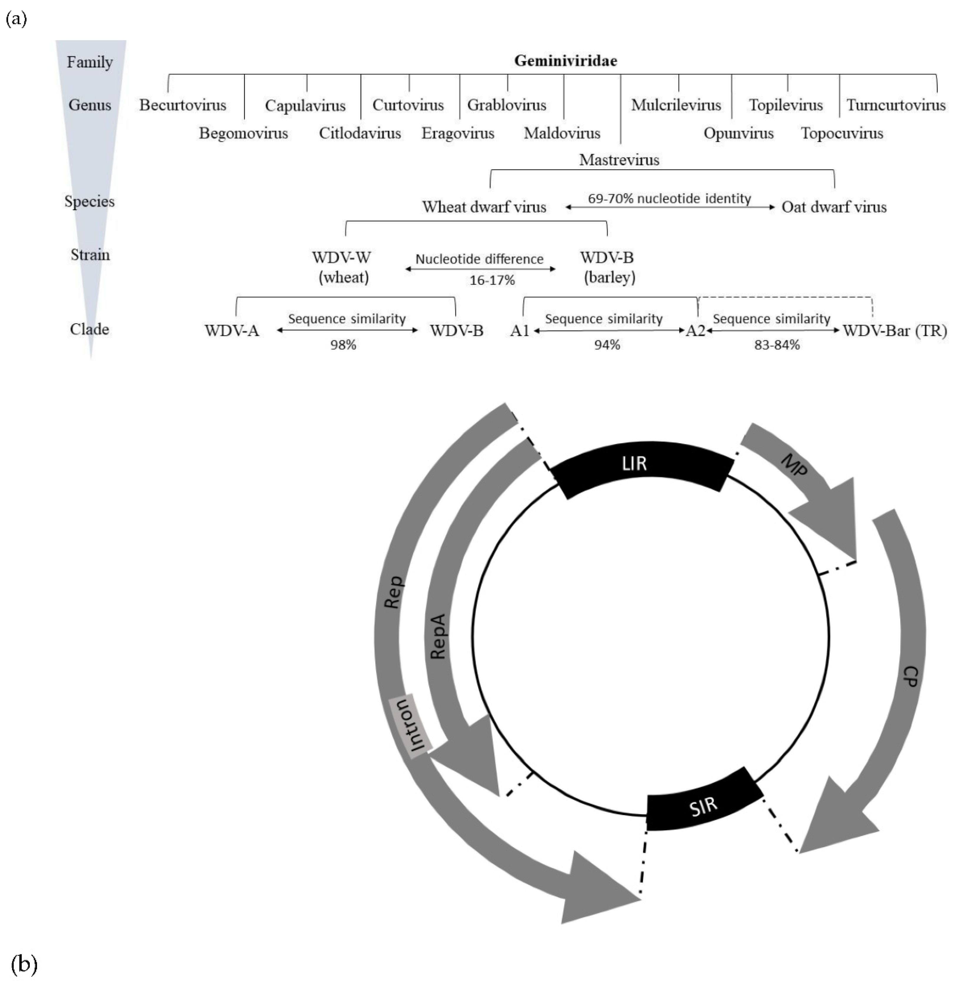 Preprints 84174 g001