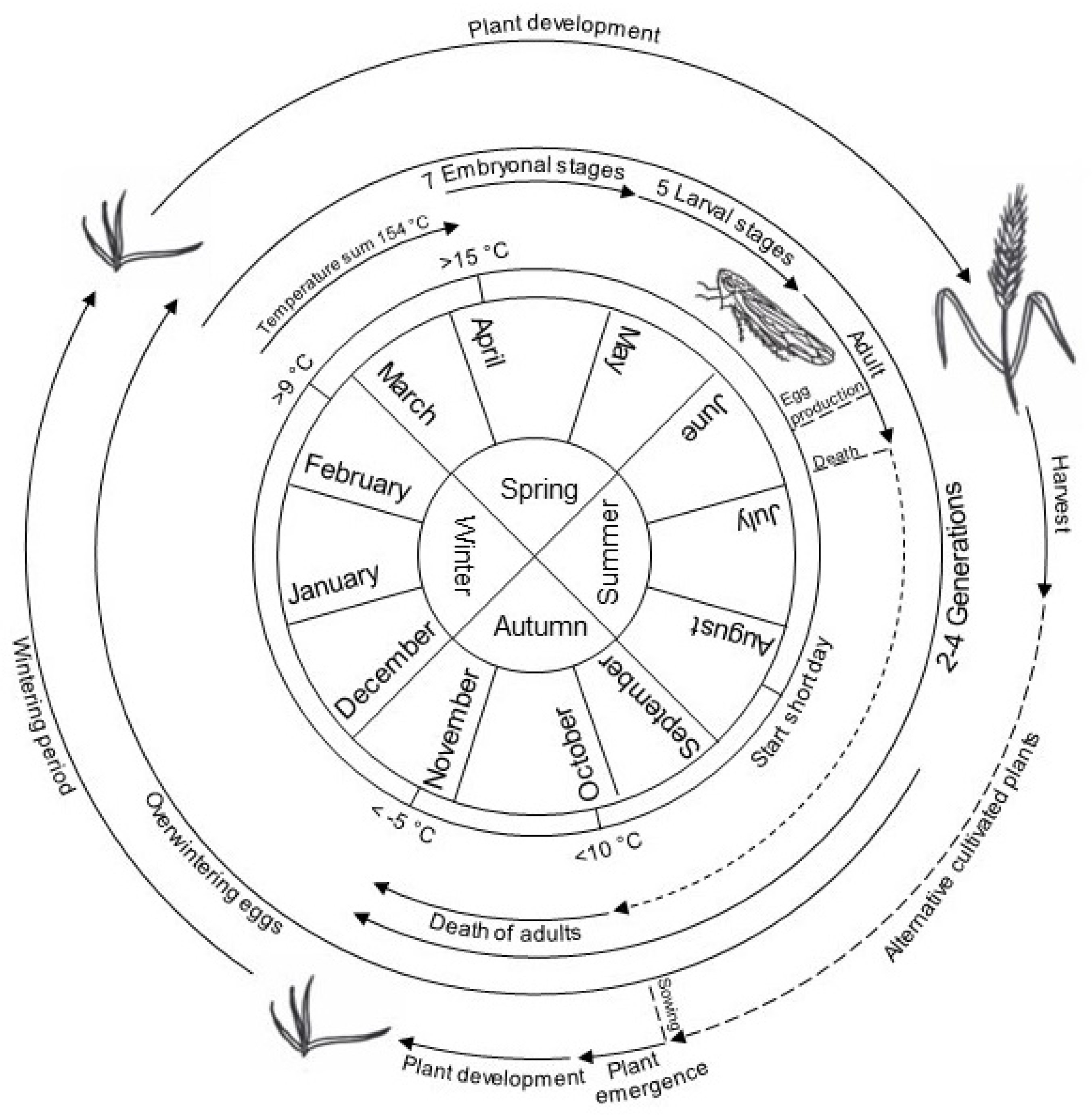 Preprints 84174 g004