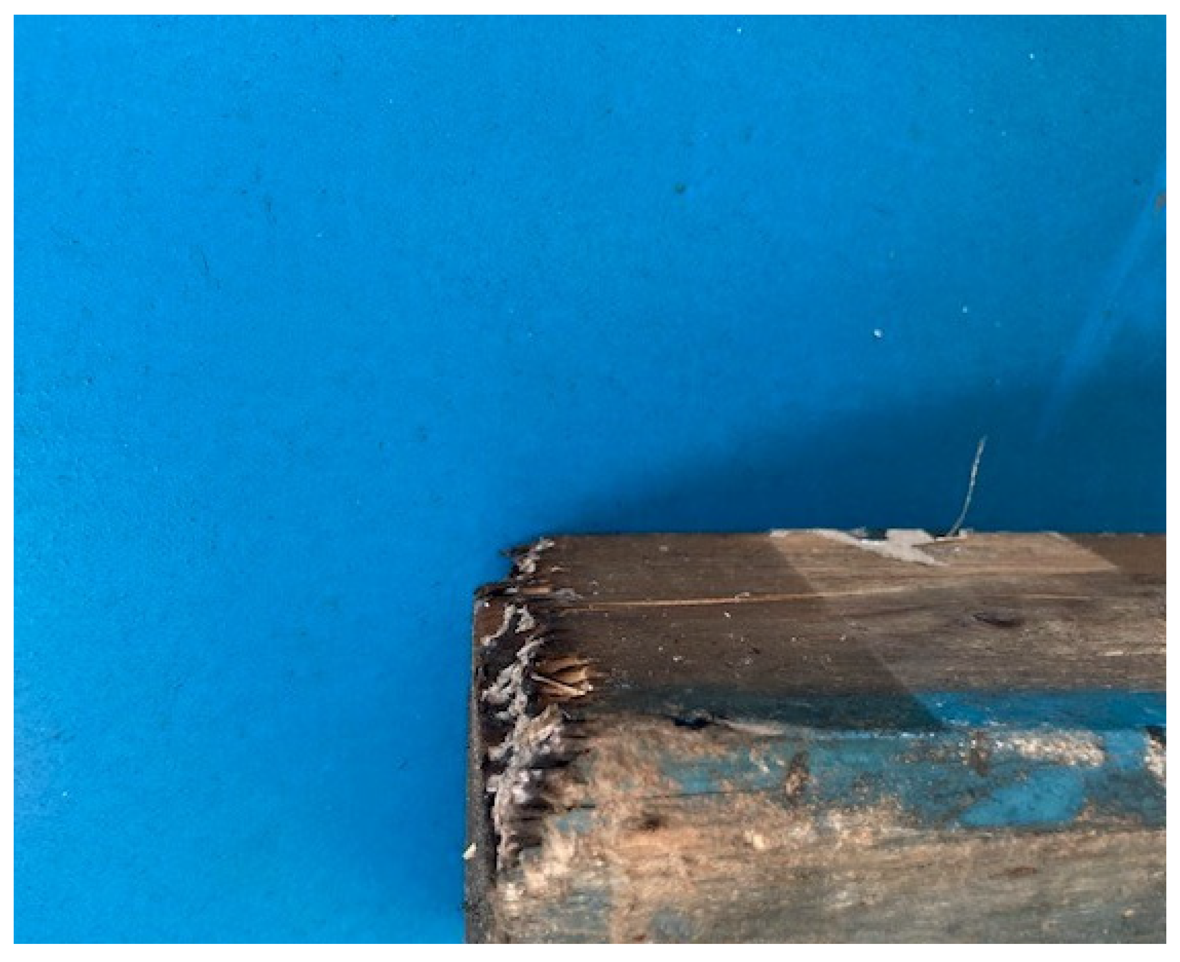 Preprints 104293 g010