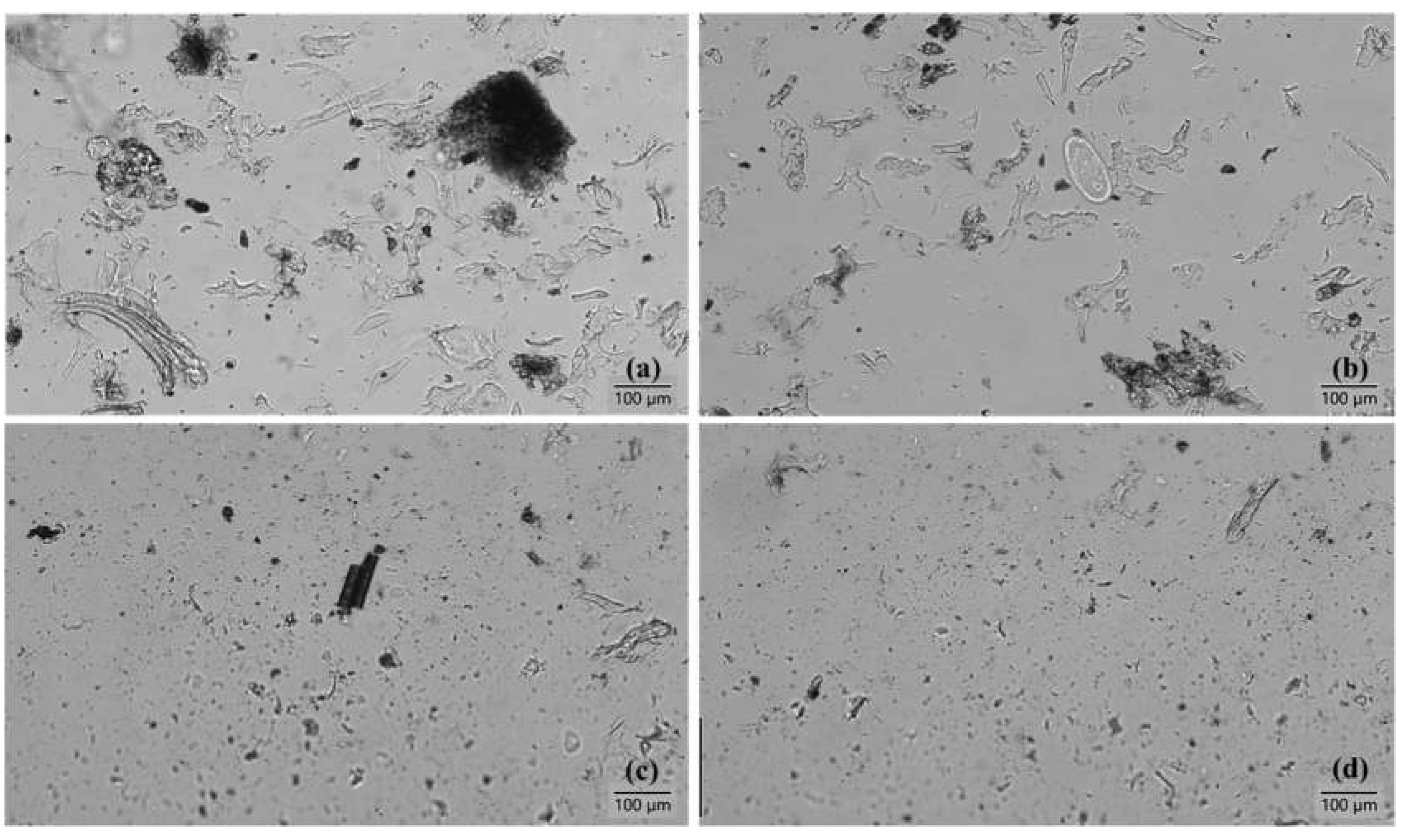 Preprints 106171 g006