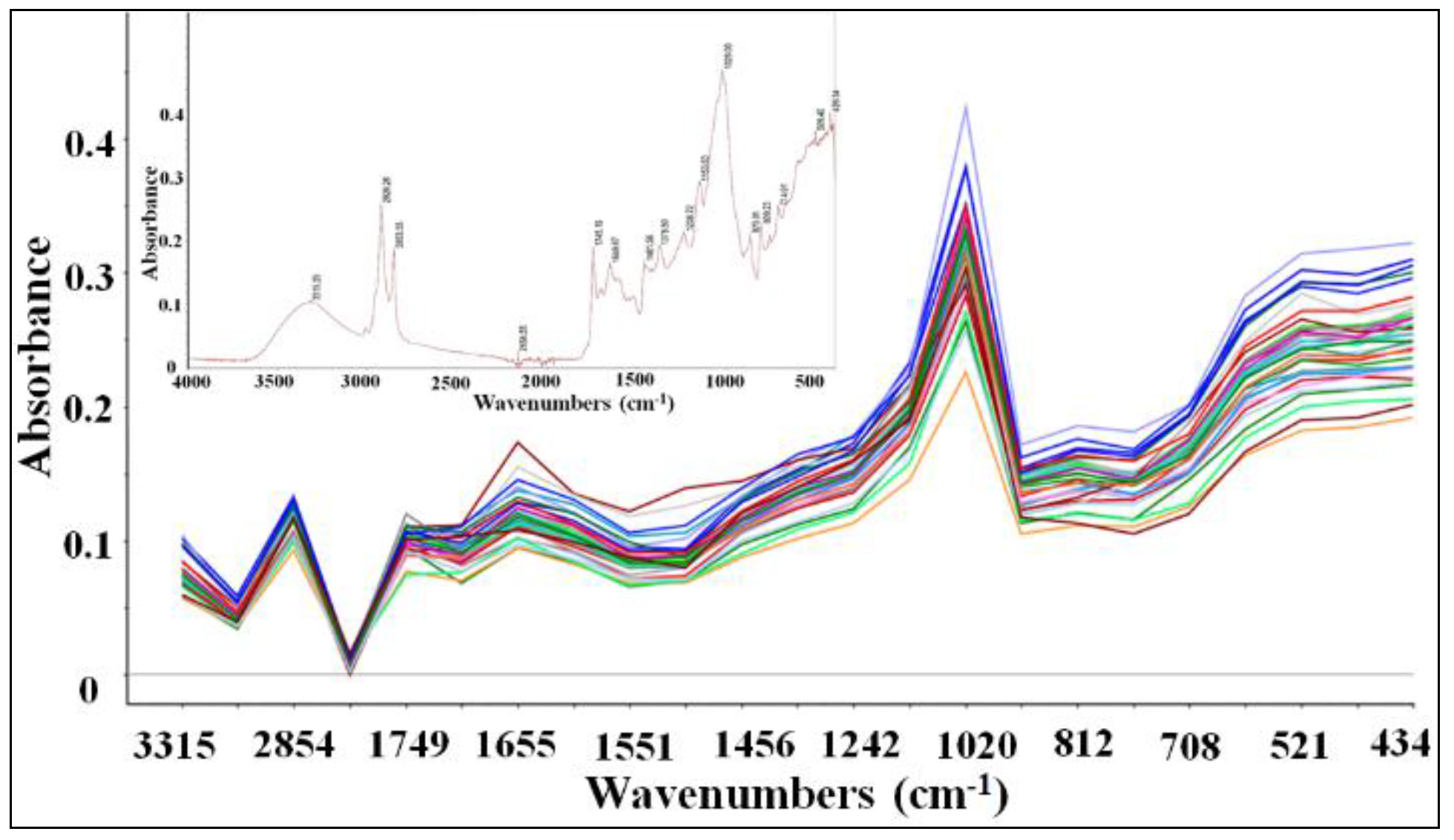 Preprints 163429 g001