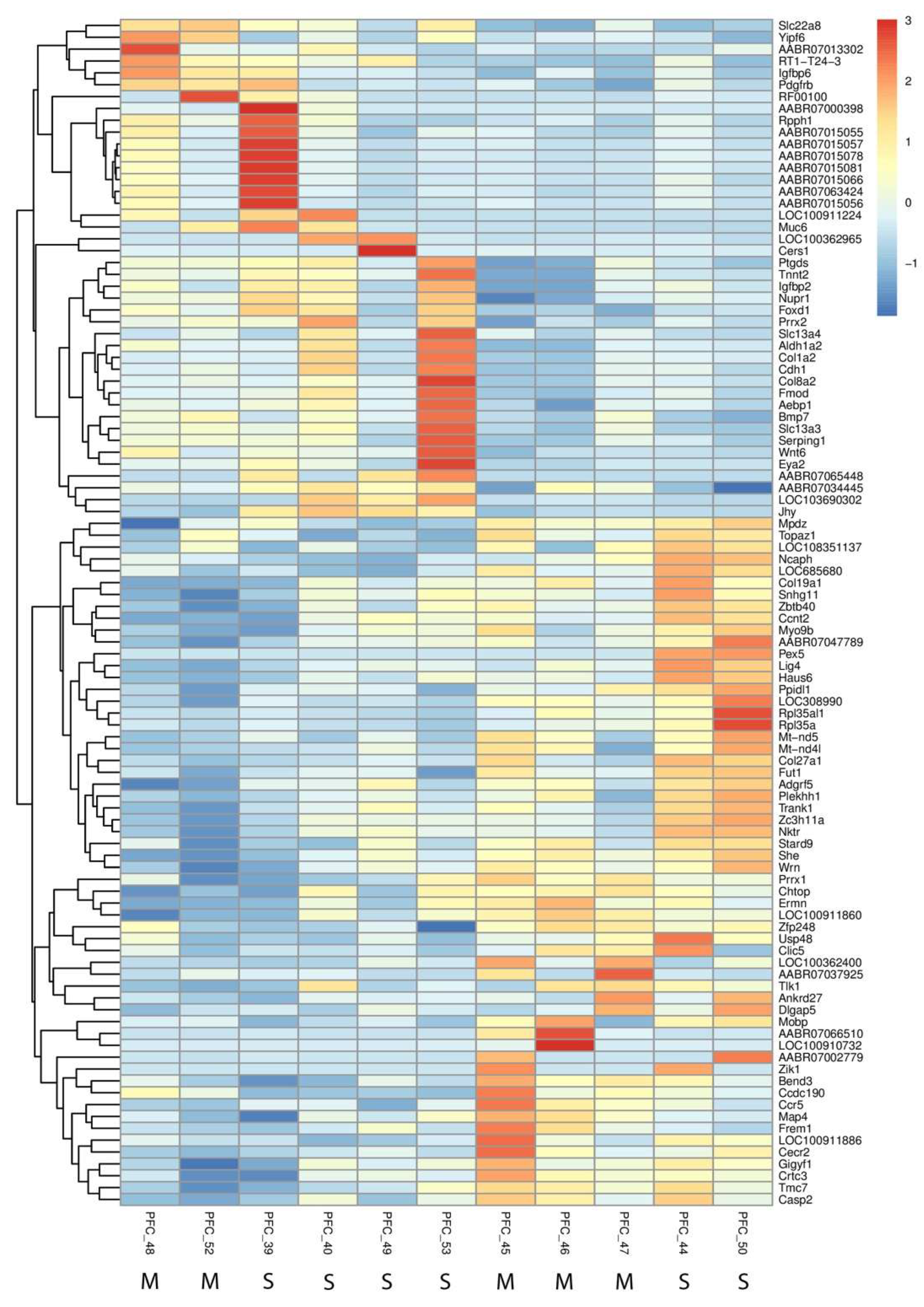 Preprints 146057 g002
