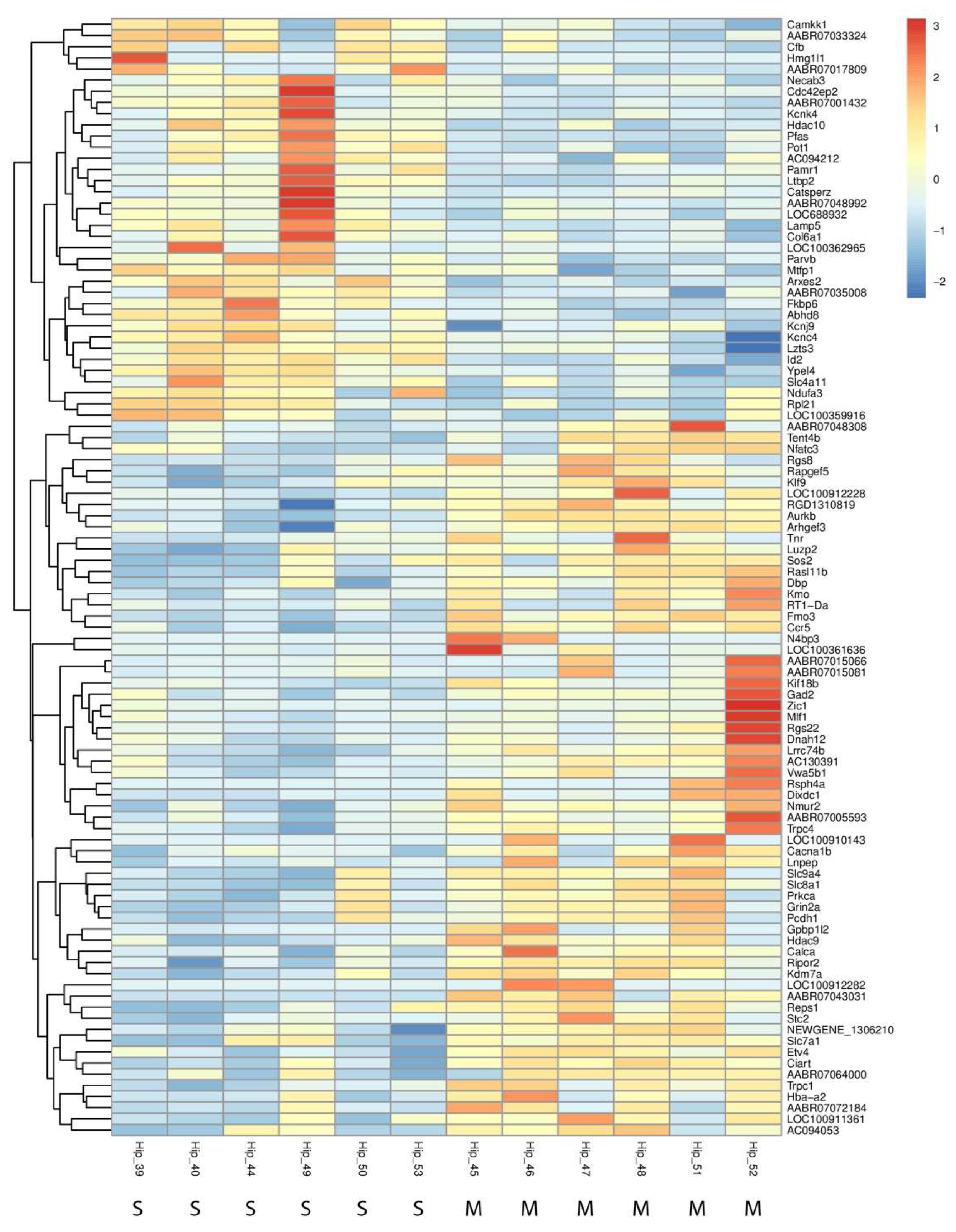 Preprints 146057 g005