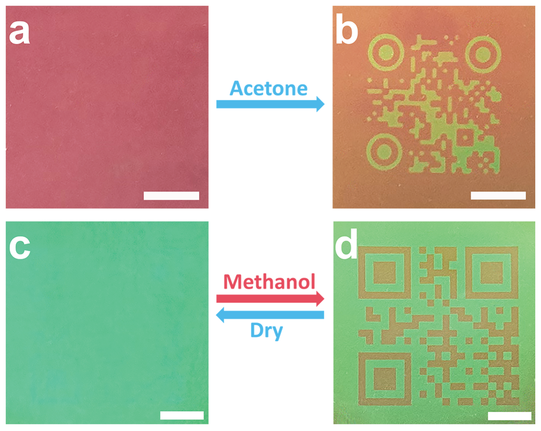 Preprints 195140 g003