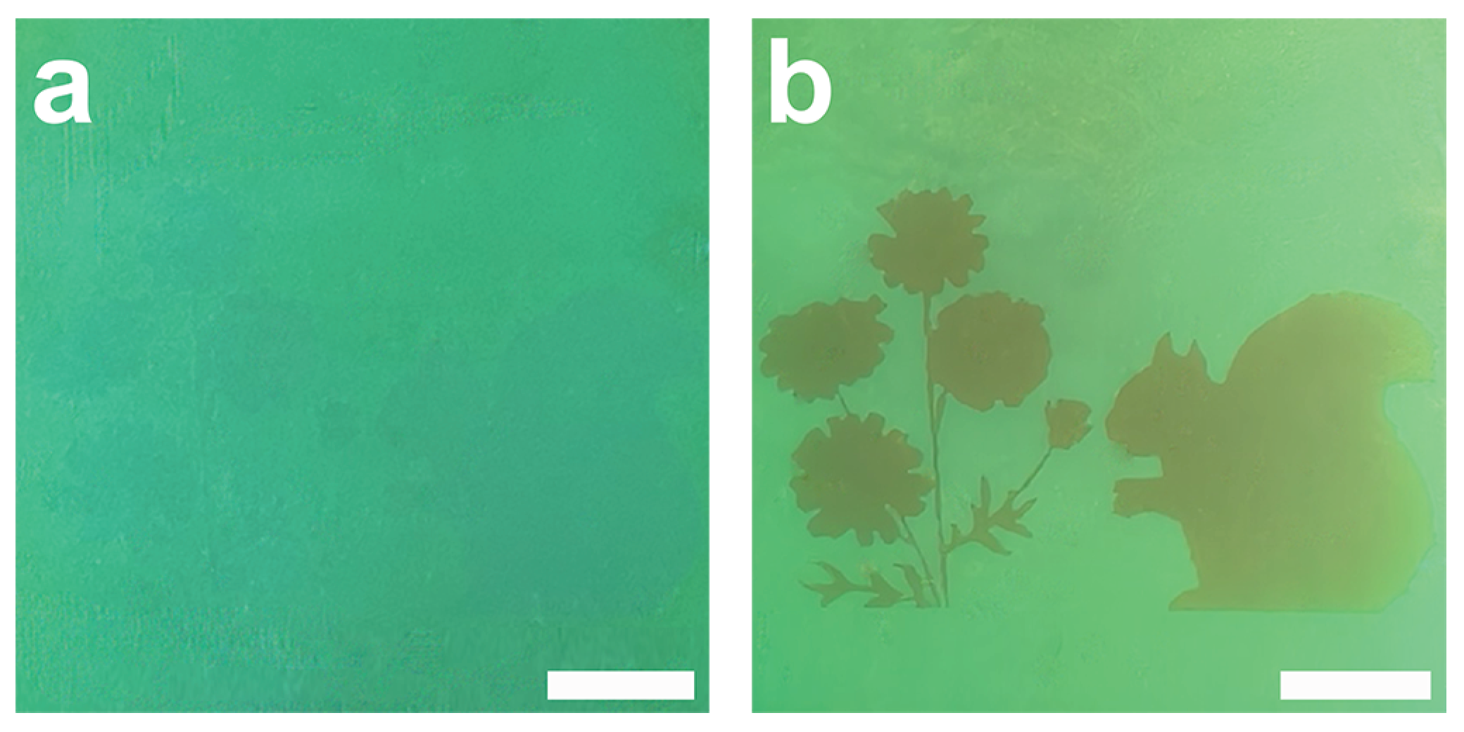 Preprints 195140 g004