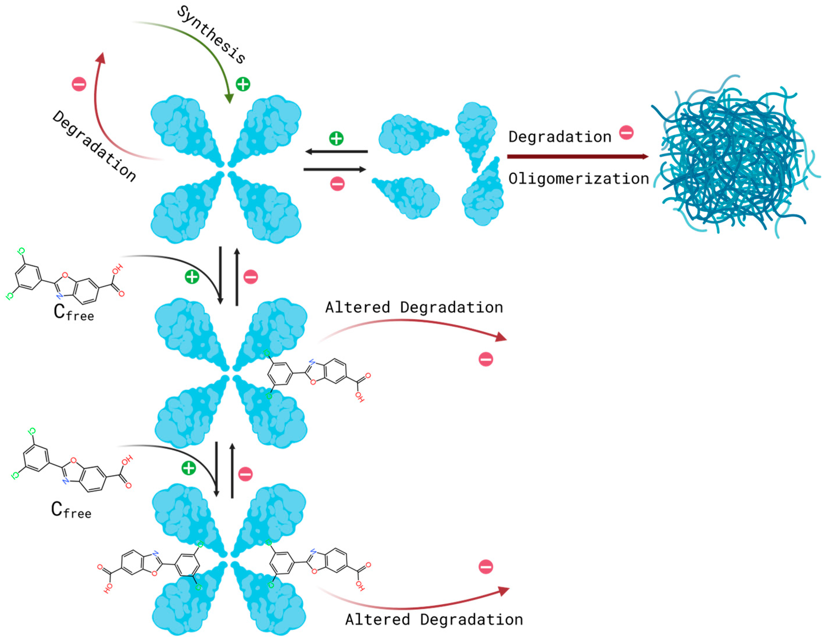 Preprints 197770 g001