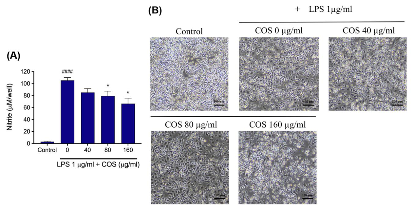 Preprints 223703 g002