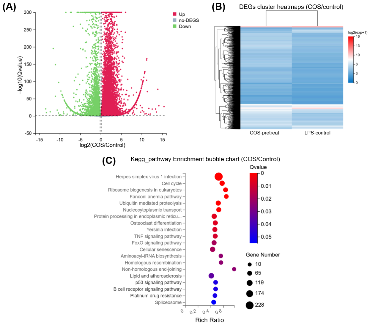Preprints 223703 g003