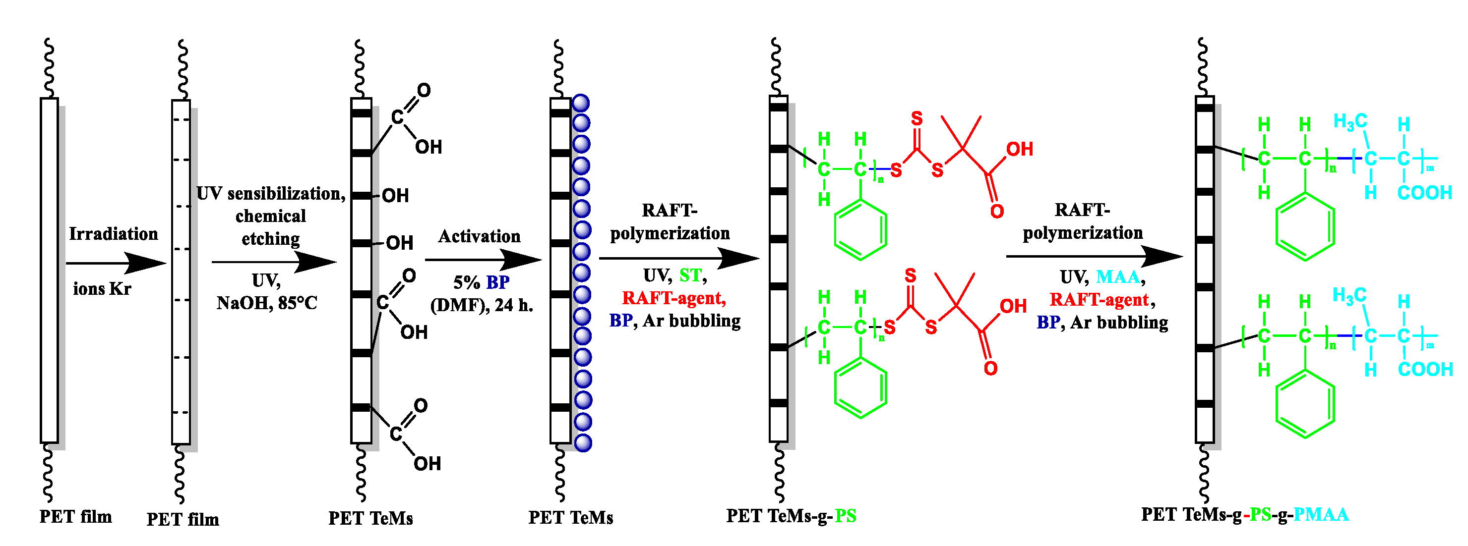 Preprints 165416 g001b