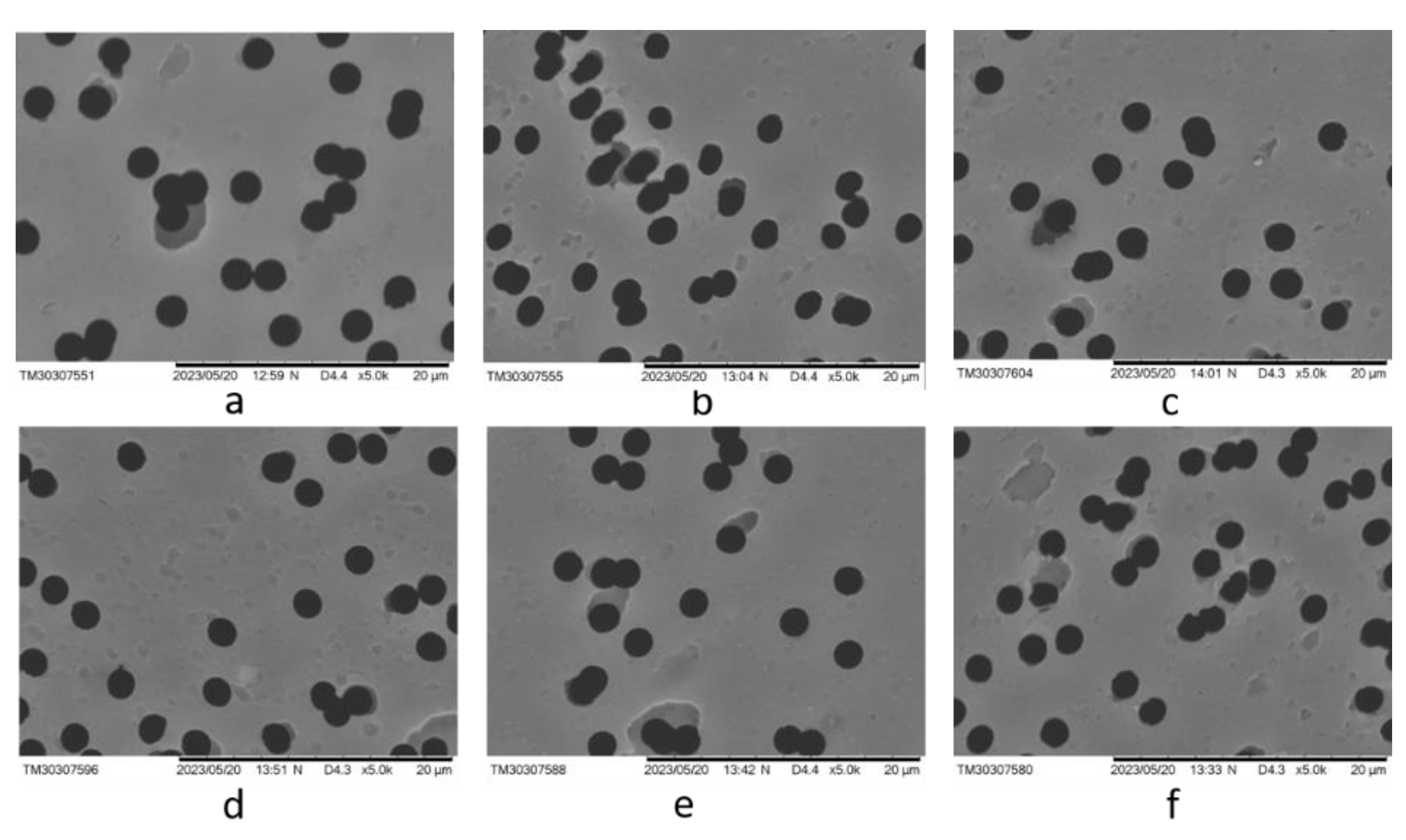 Preprints 165416 g005