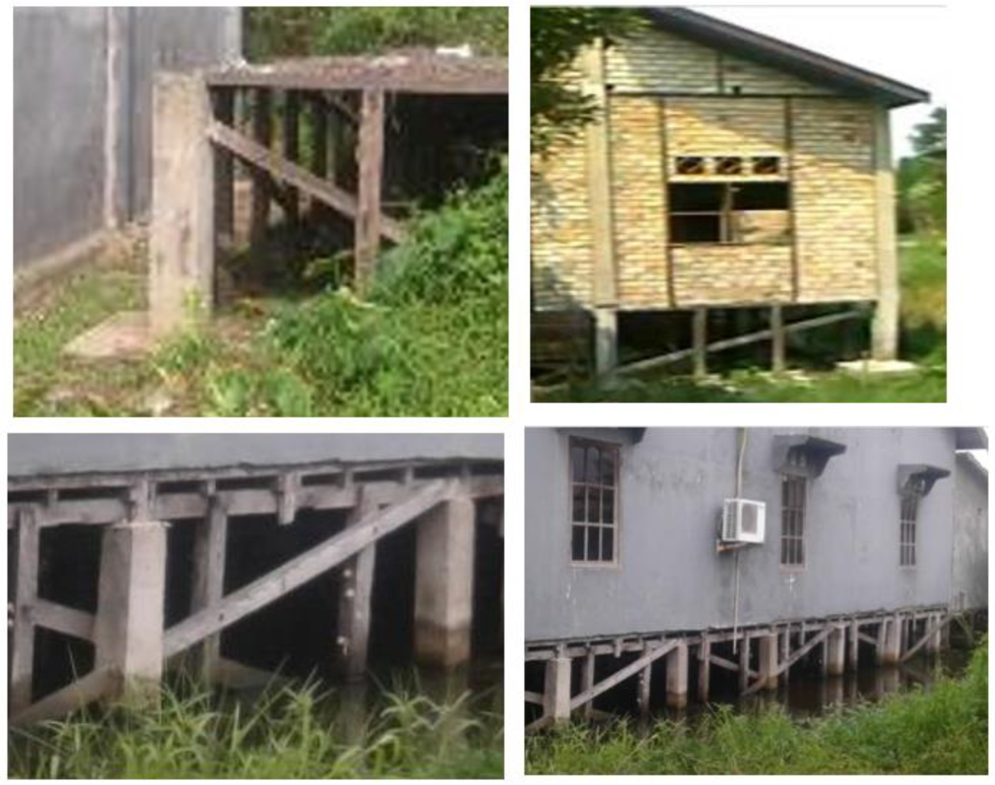 Preprints 112845 g001