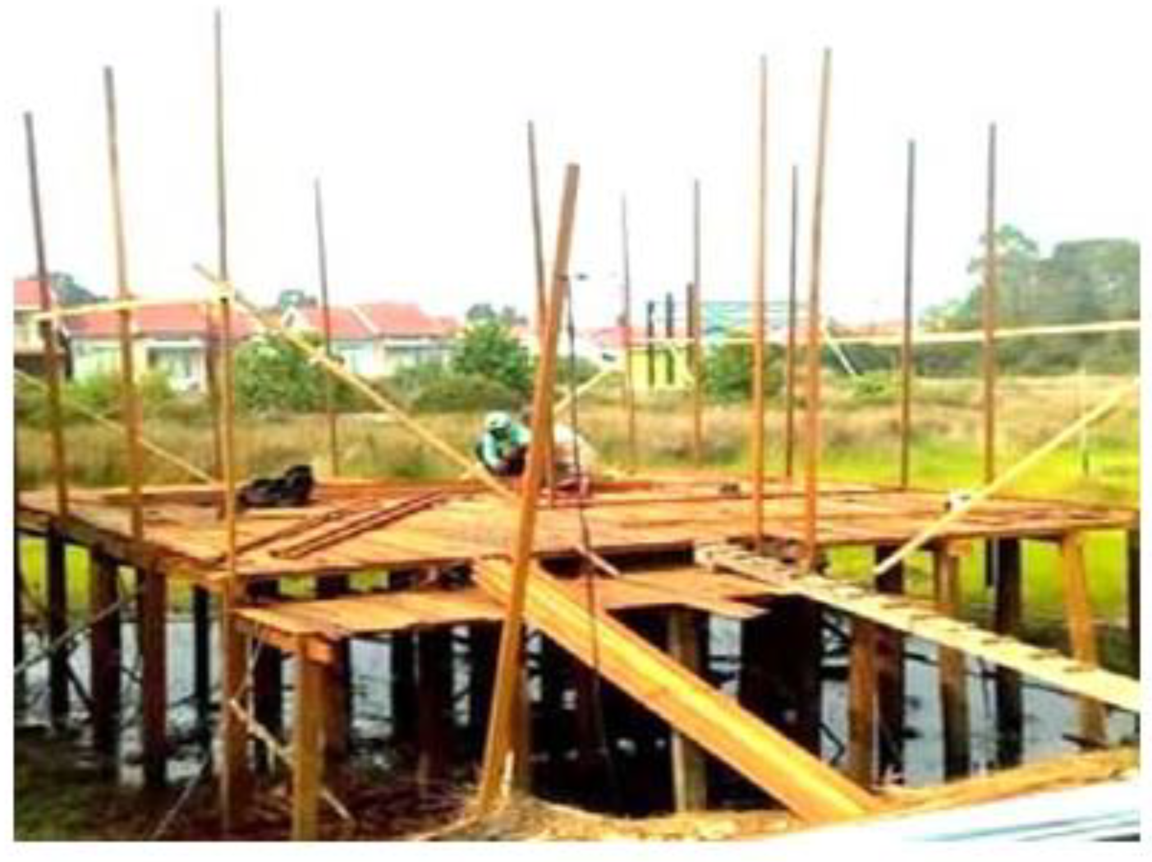 Preprints 112845 g002