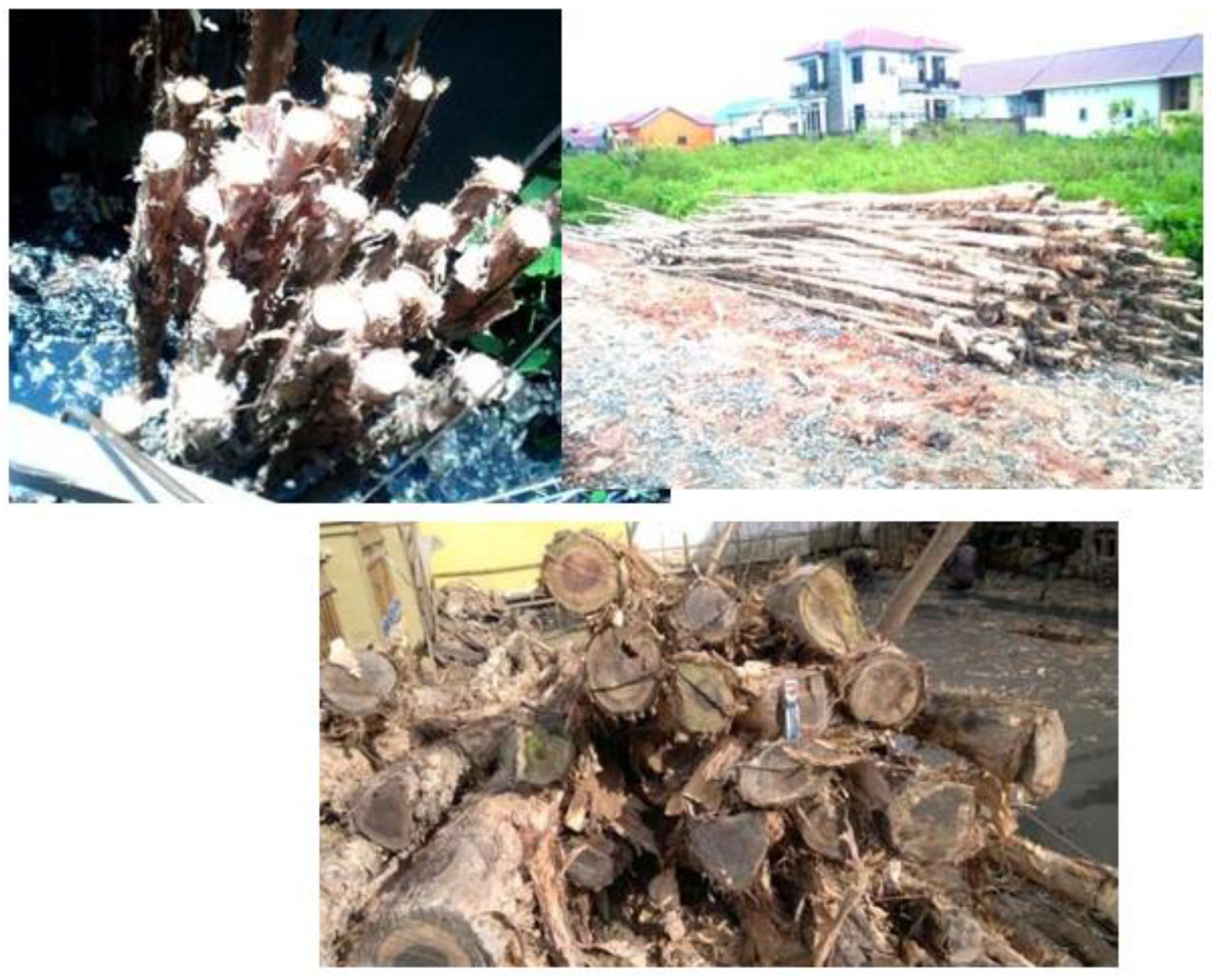 Preprints 112845 g004