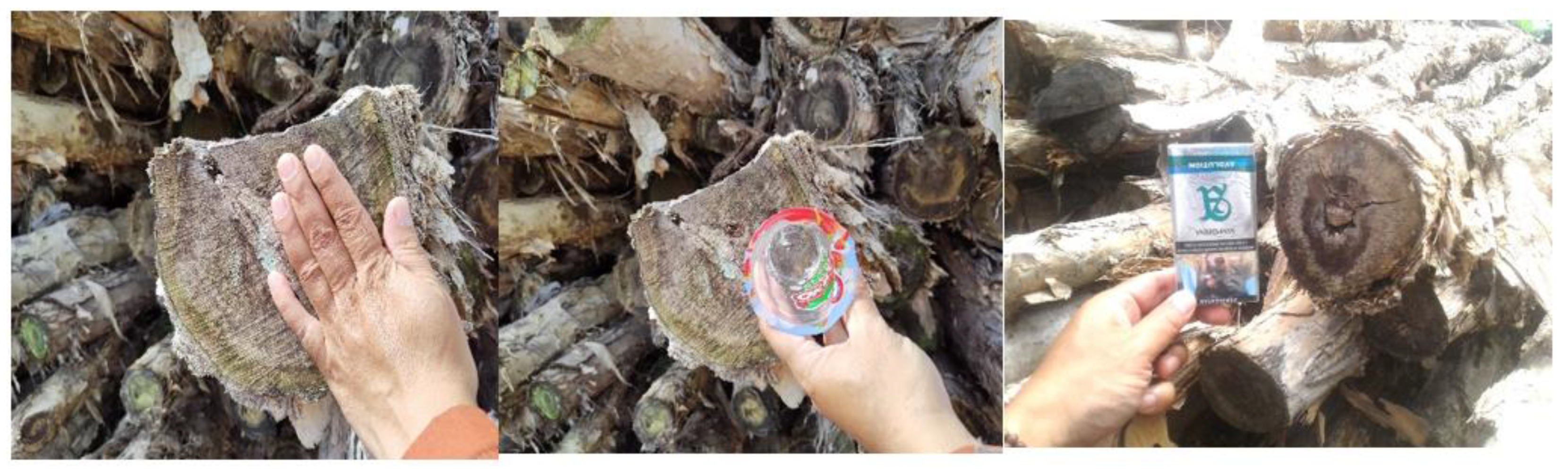 Preprints 112845 g005