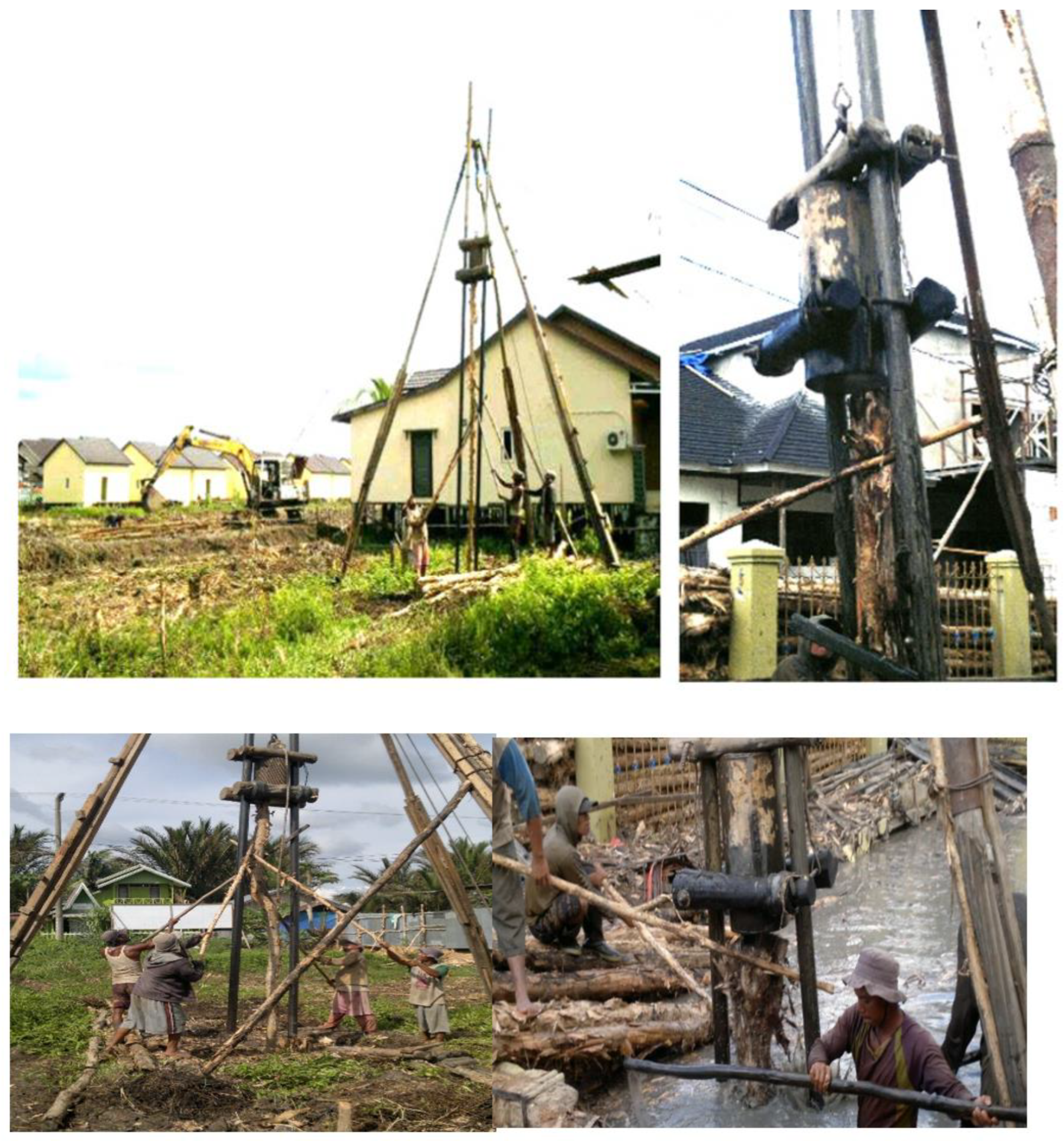 Preprints 112845 g008