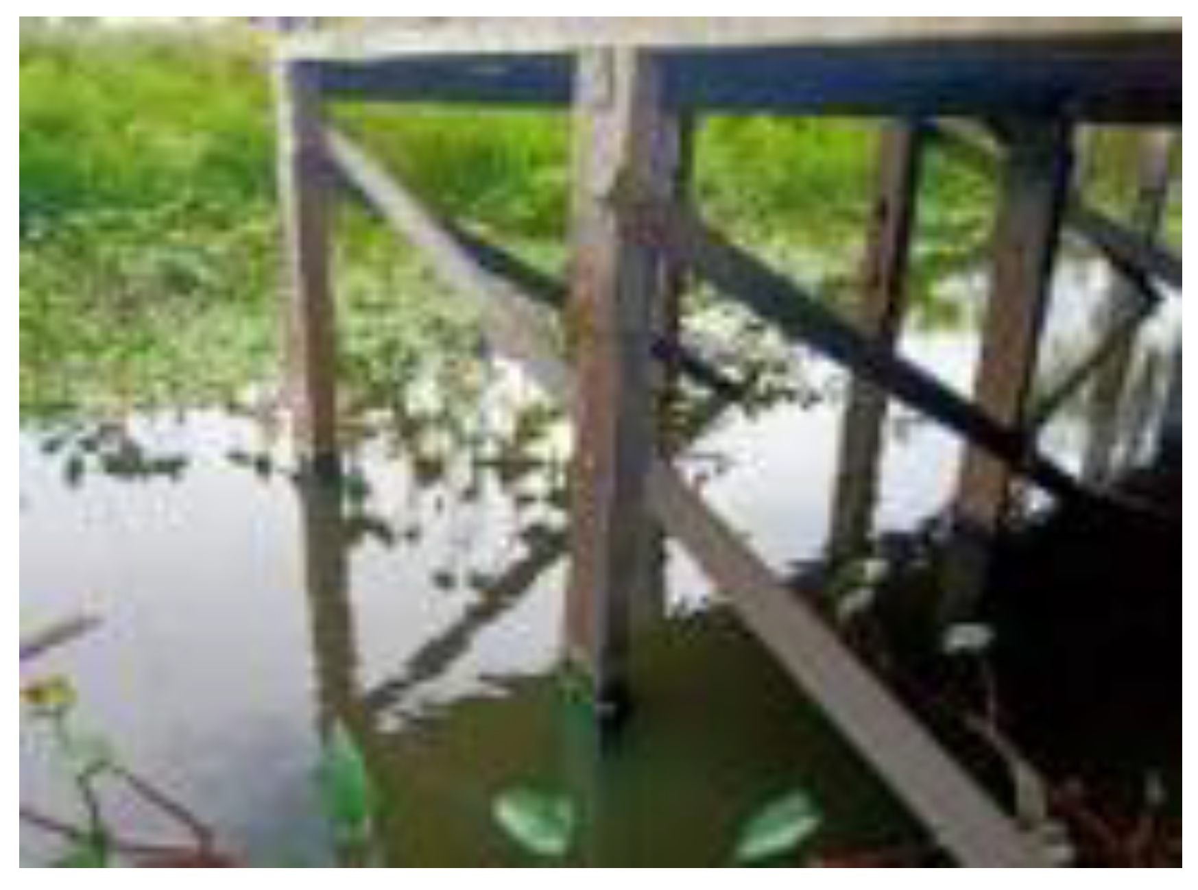 Preprints 112845 g009