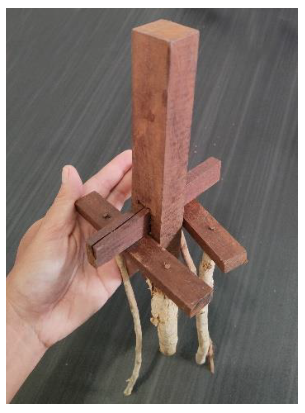 Preprints 112845 g010