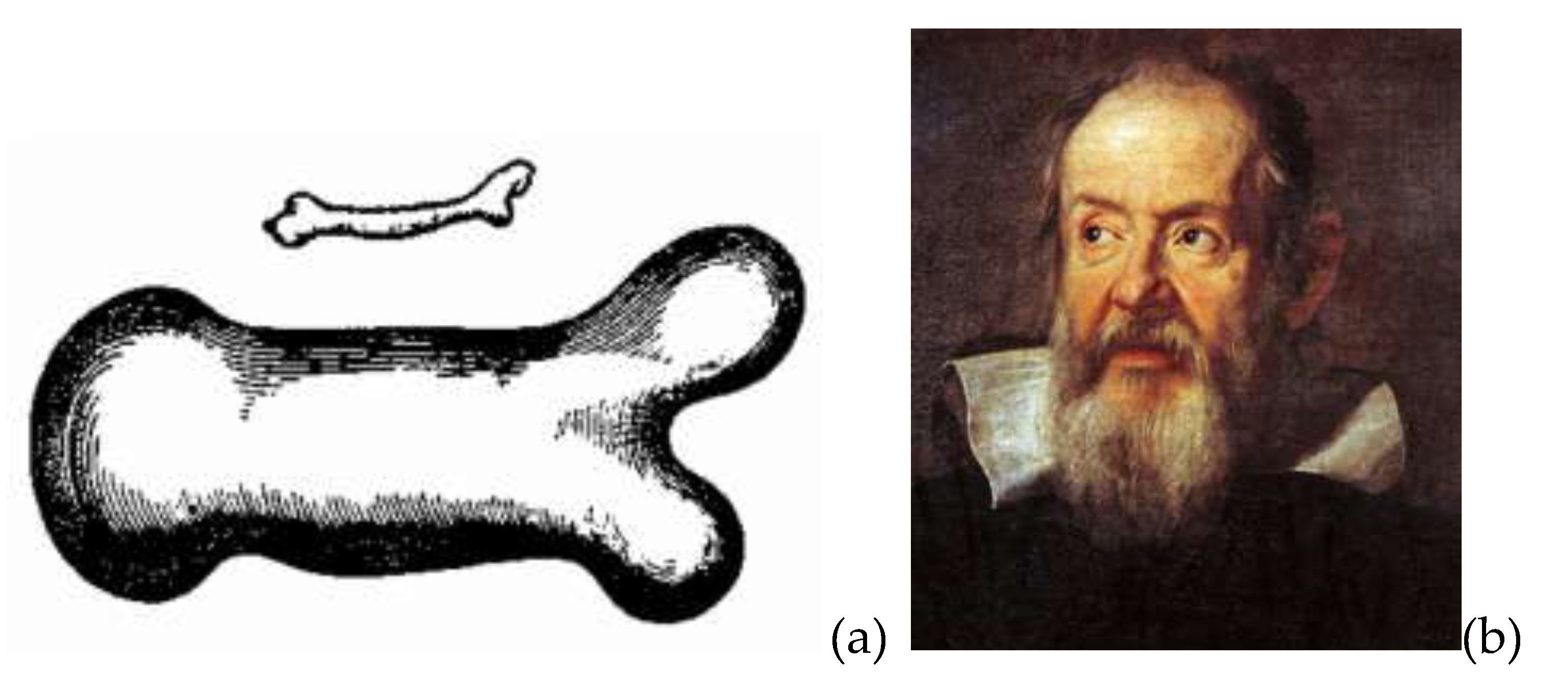 Preprints 196491 g004