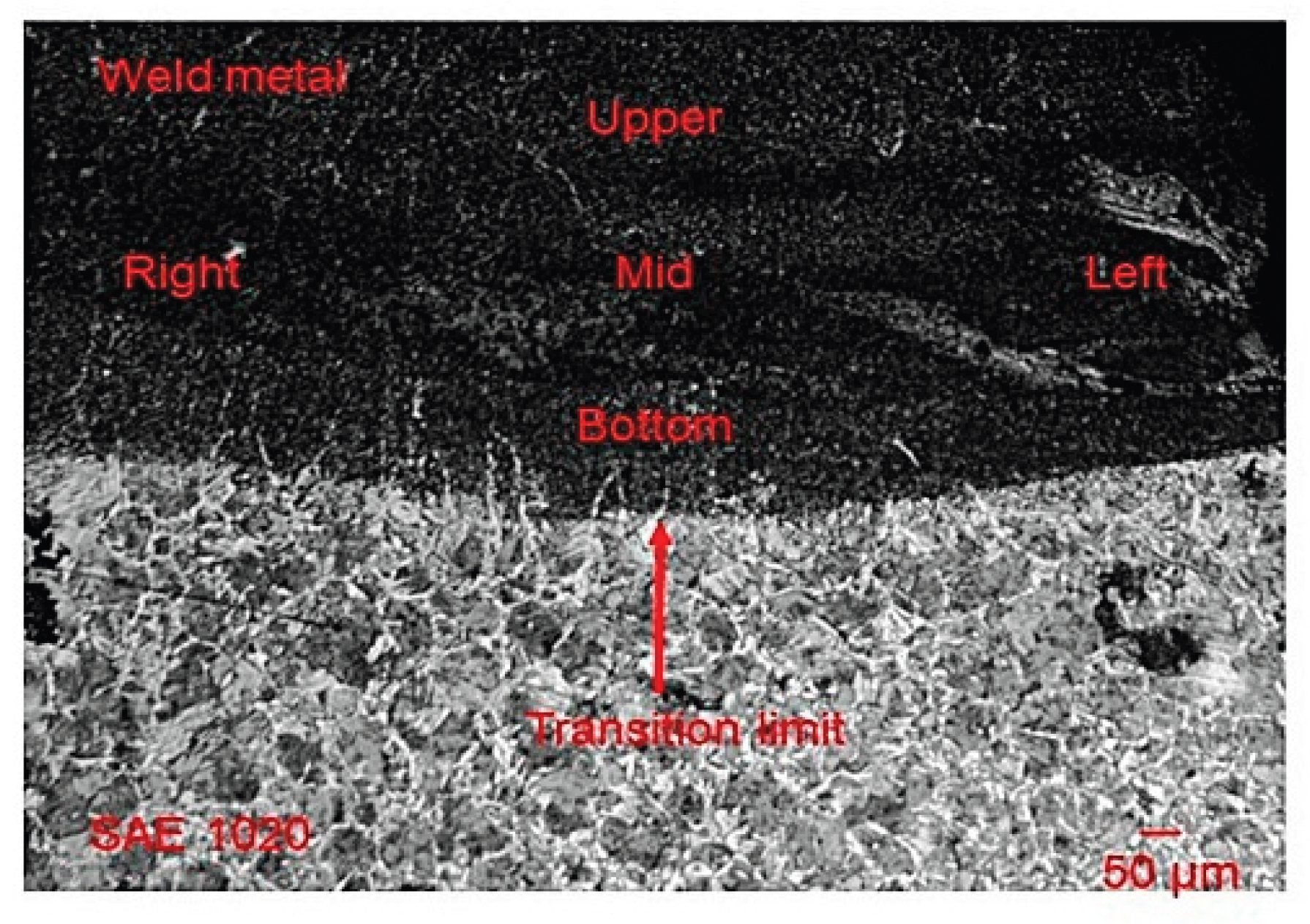 Preprints 180981 g003