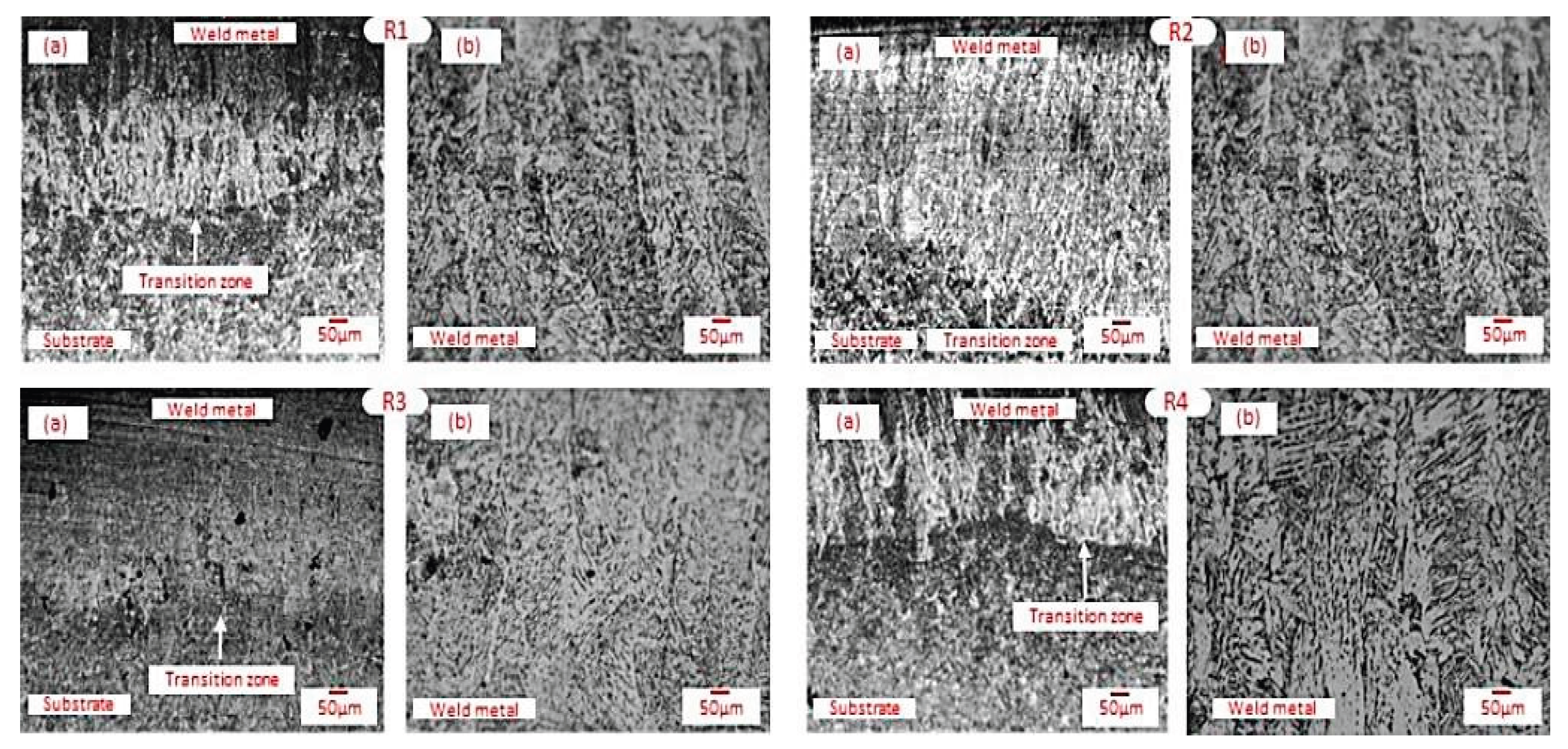 Preprints 180981 g008