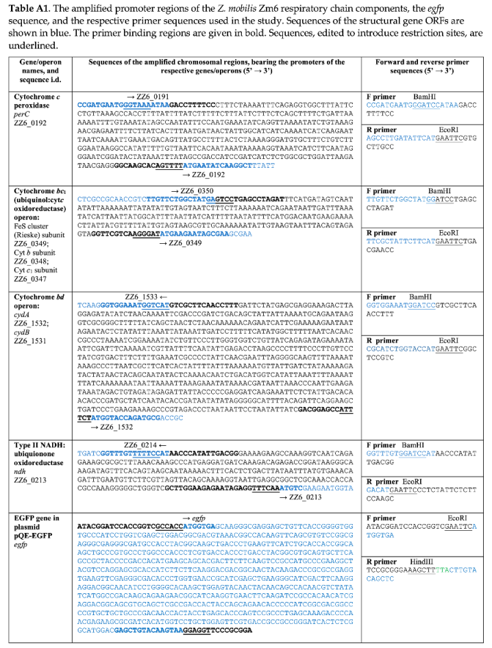 Preprints 85599 i001