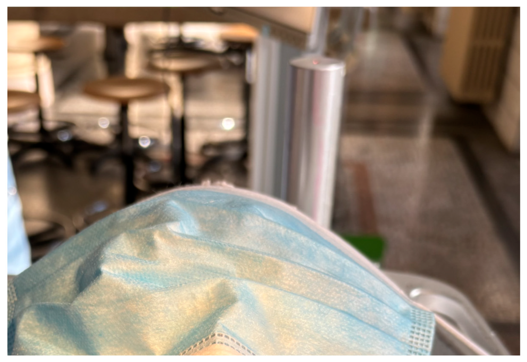 Preprints 141397 g001