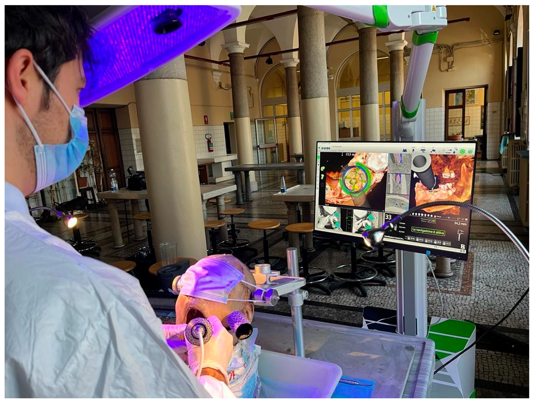 Preprints 141397 g004