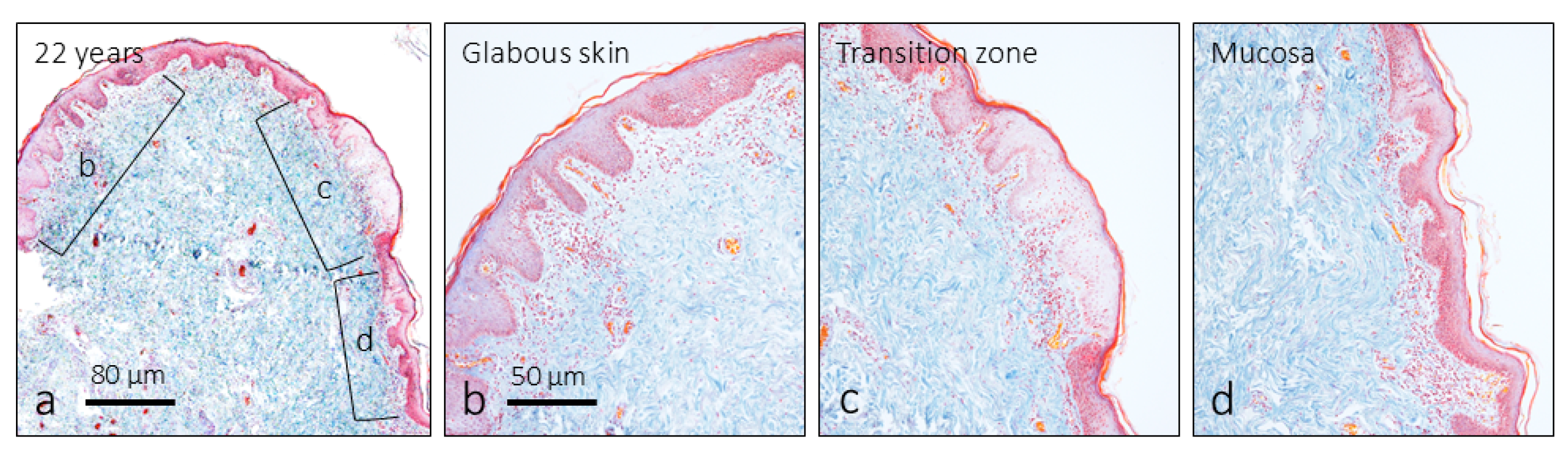 Preprints 160094 g001