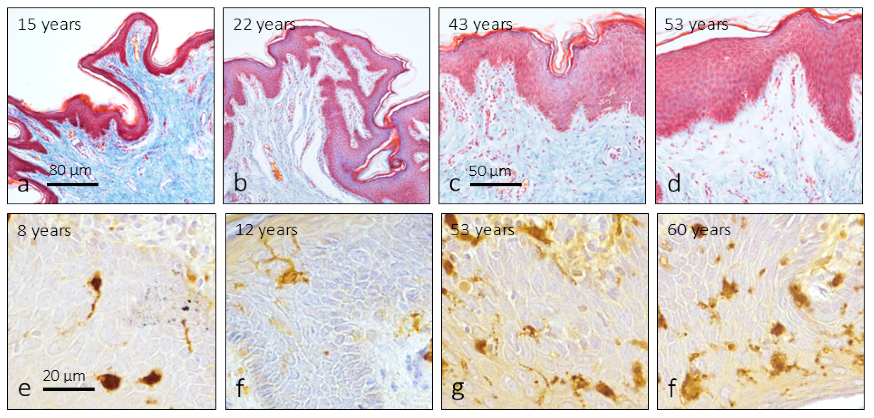 Preprints 160094 g002