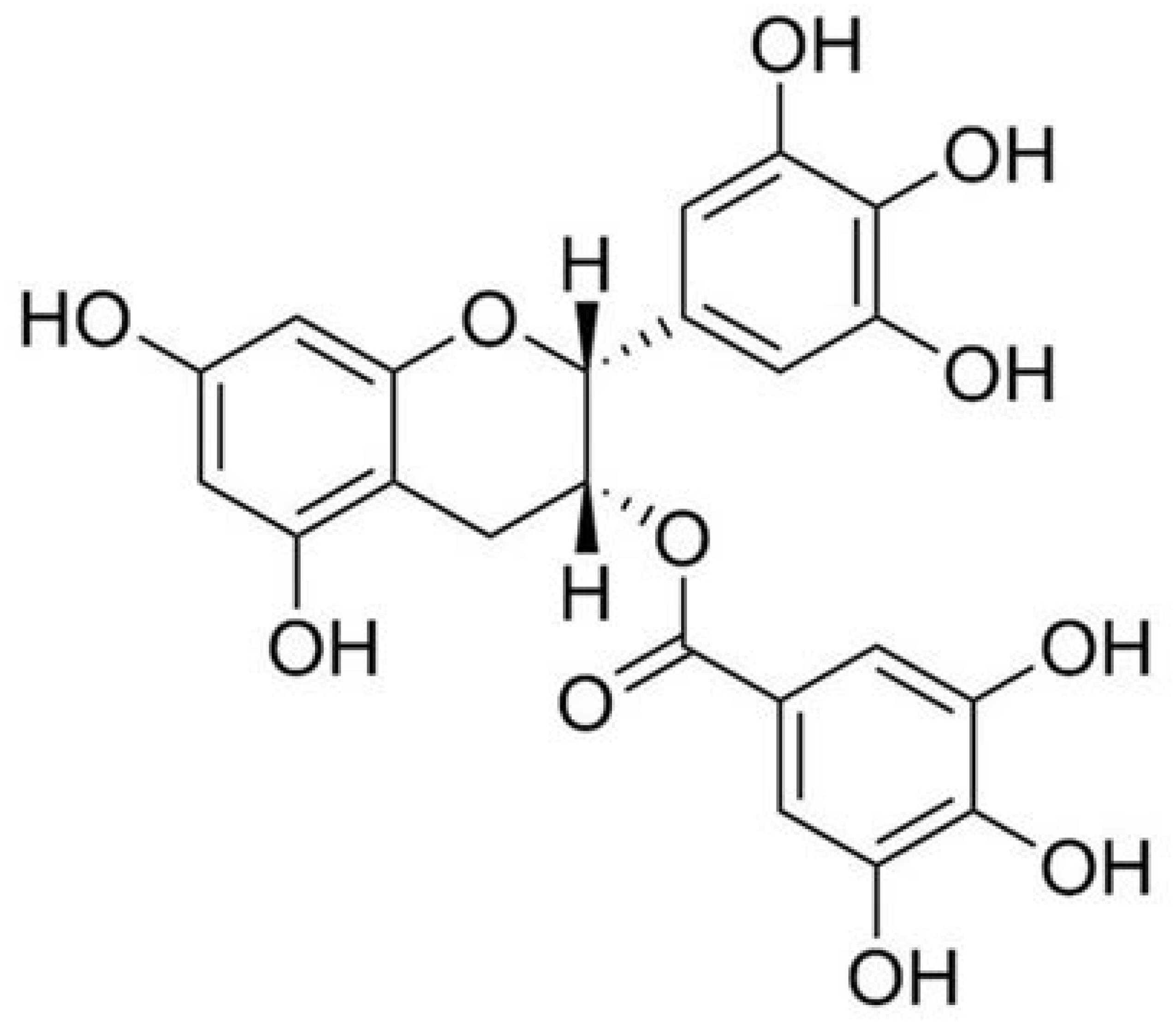 Preprints 218411 g003
