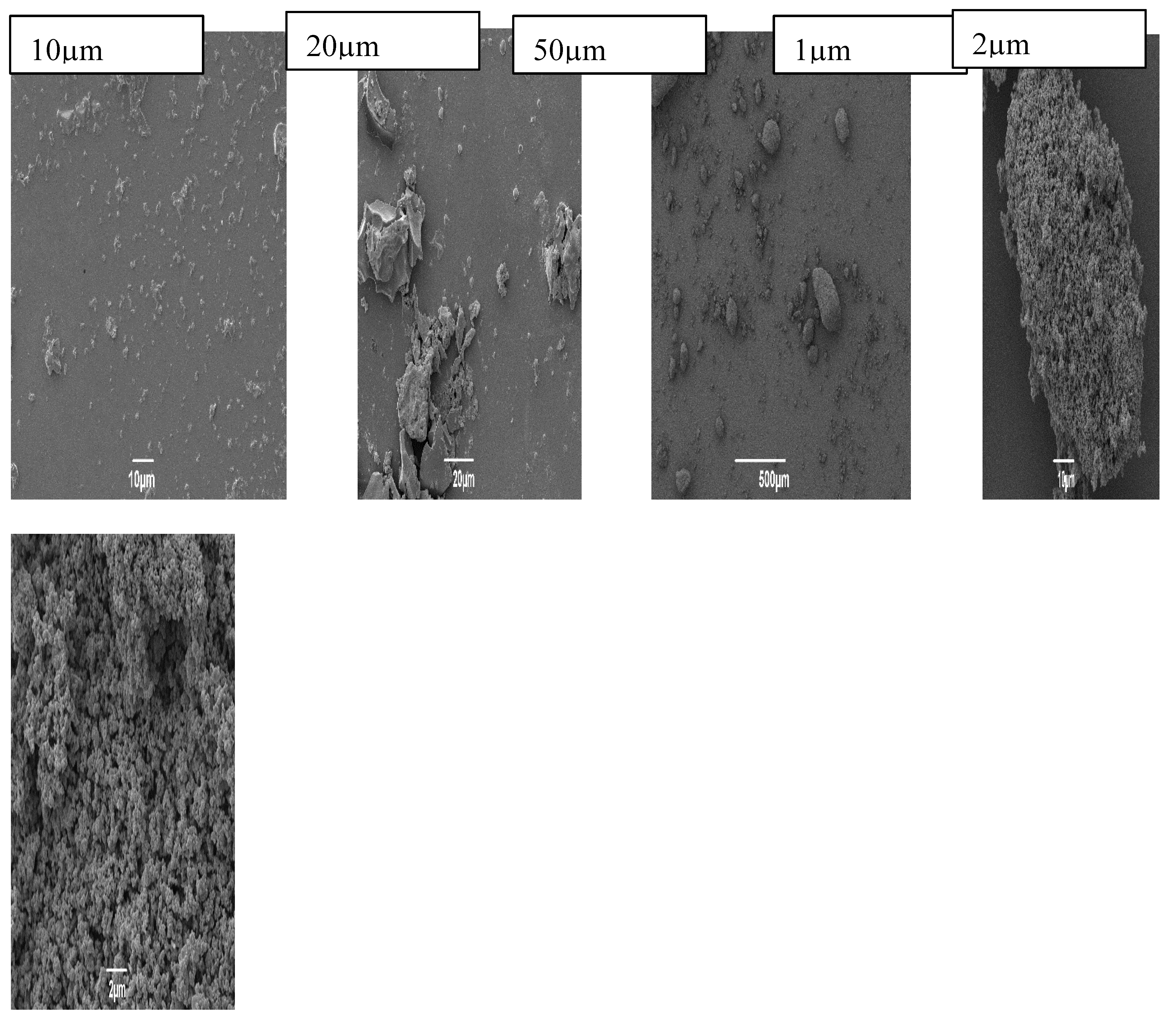 Preprints 218411 g009b