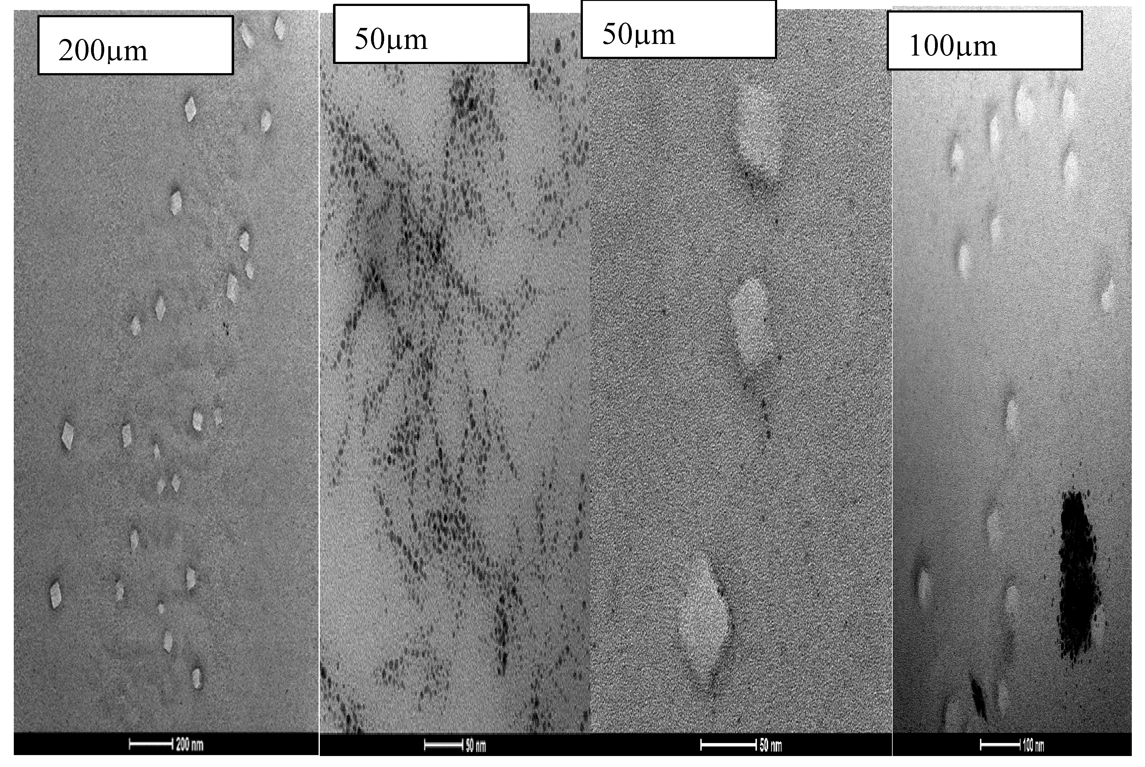 Preprints 218411 g011