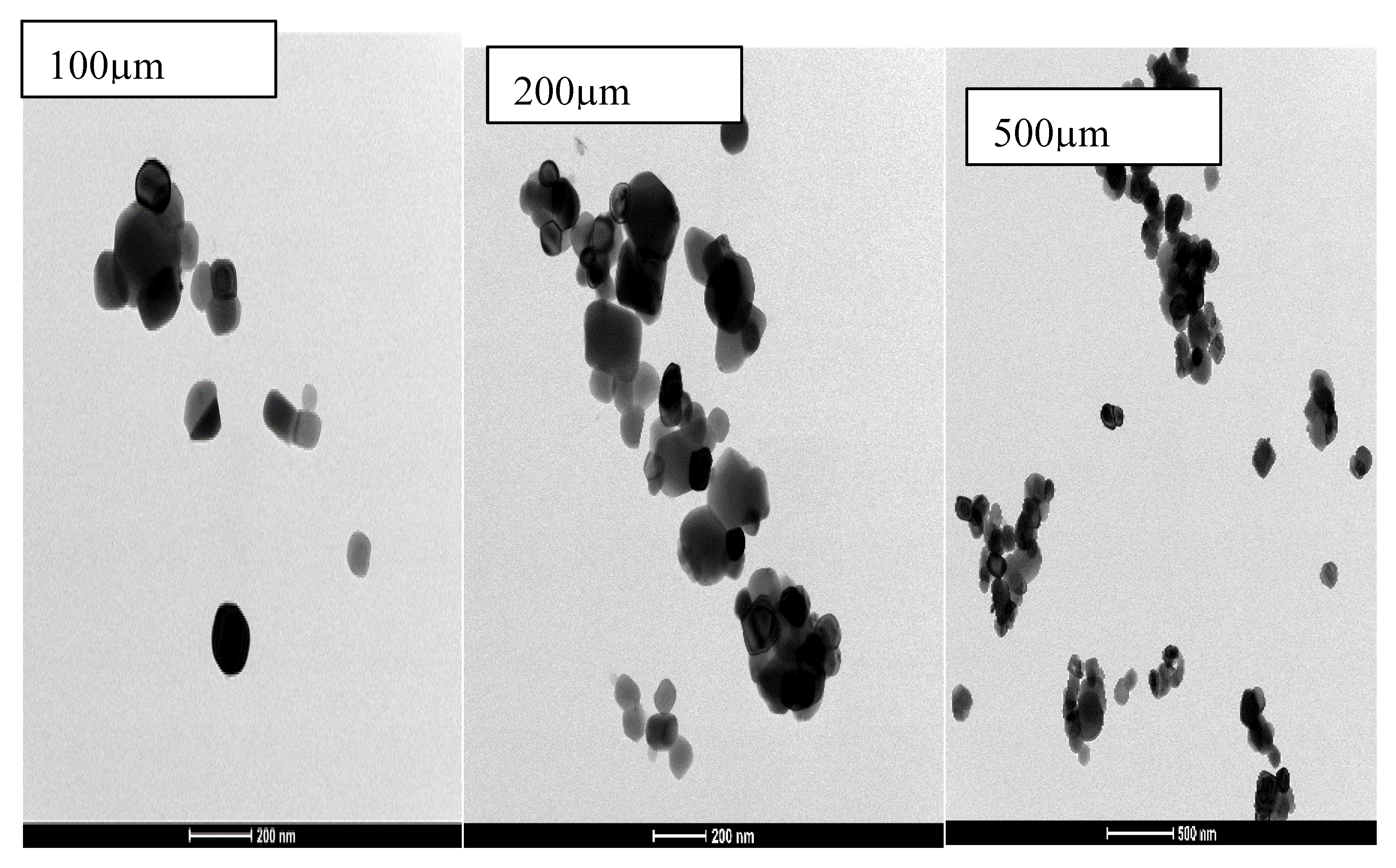 Preprints 218411 g012
