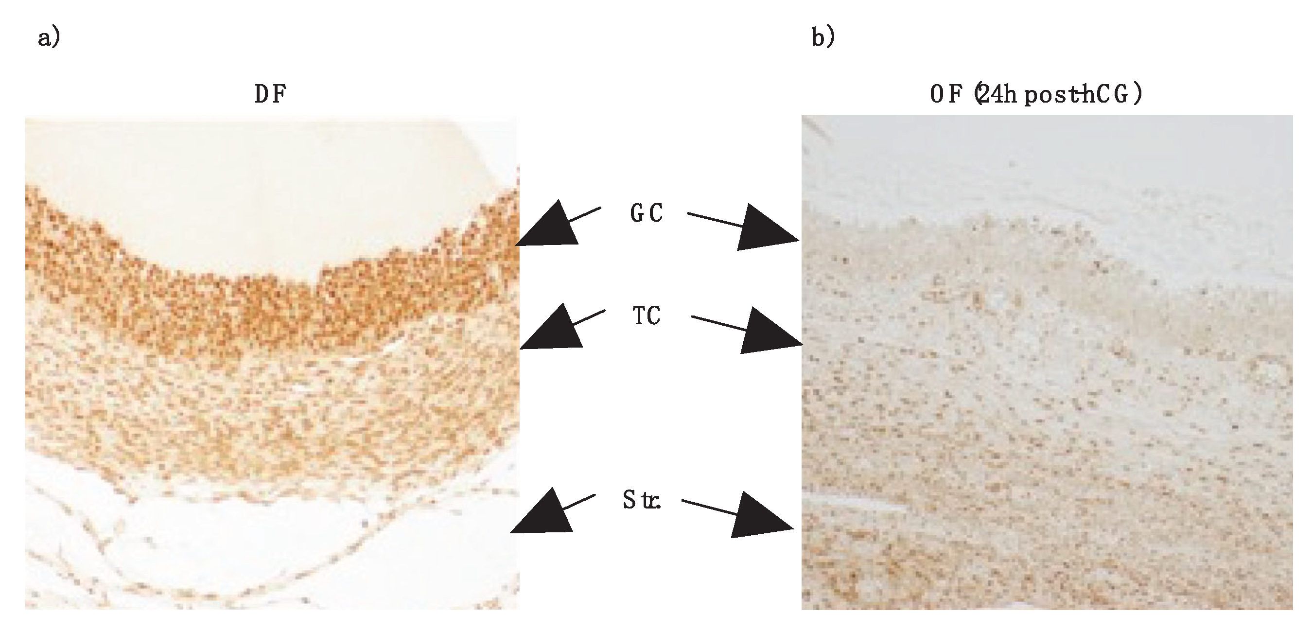Preprints 169567 g003